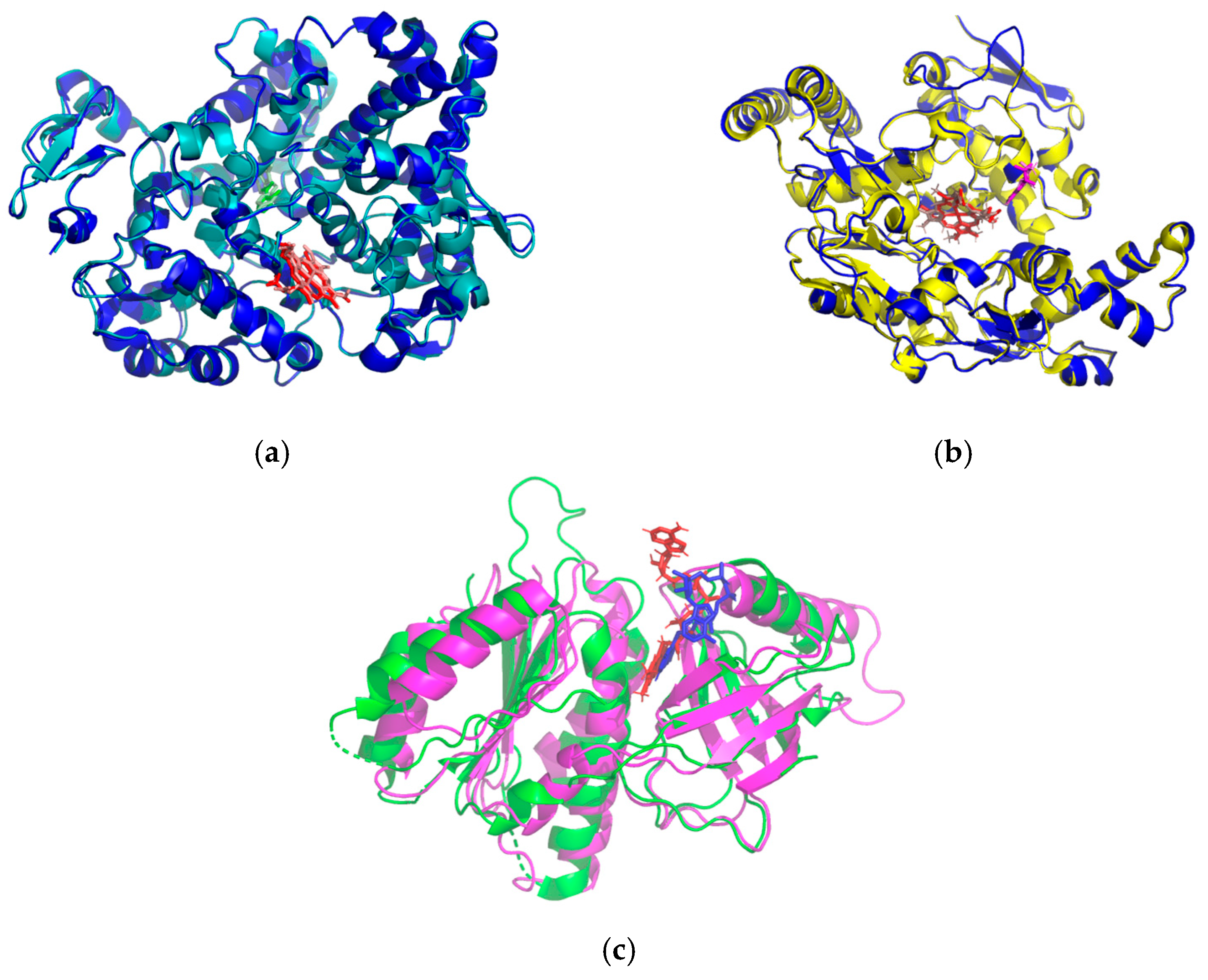 Ijms 26 08404 g004 Ijms 26 08404 g004