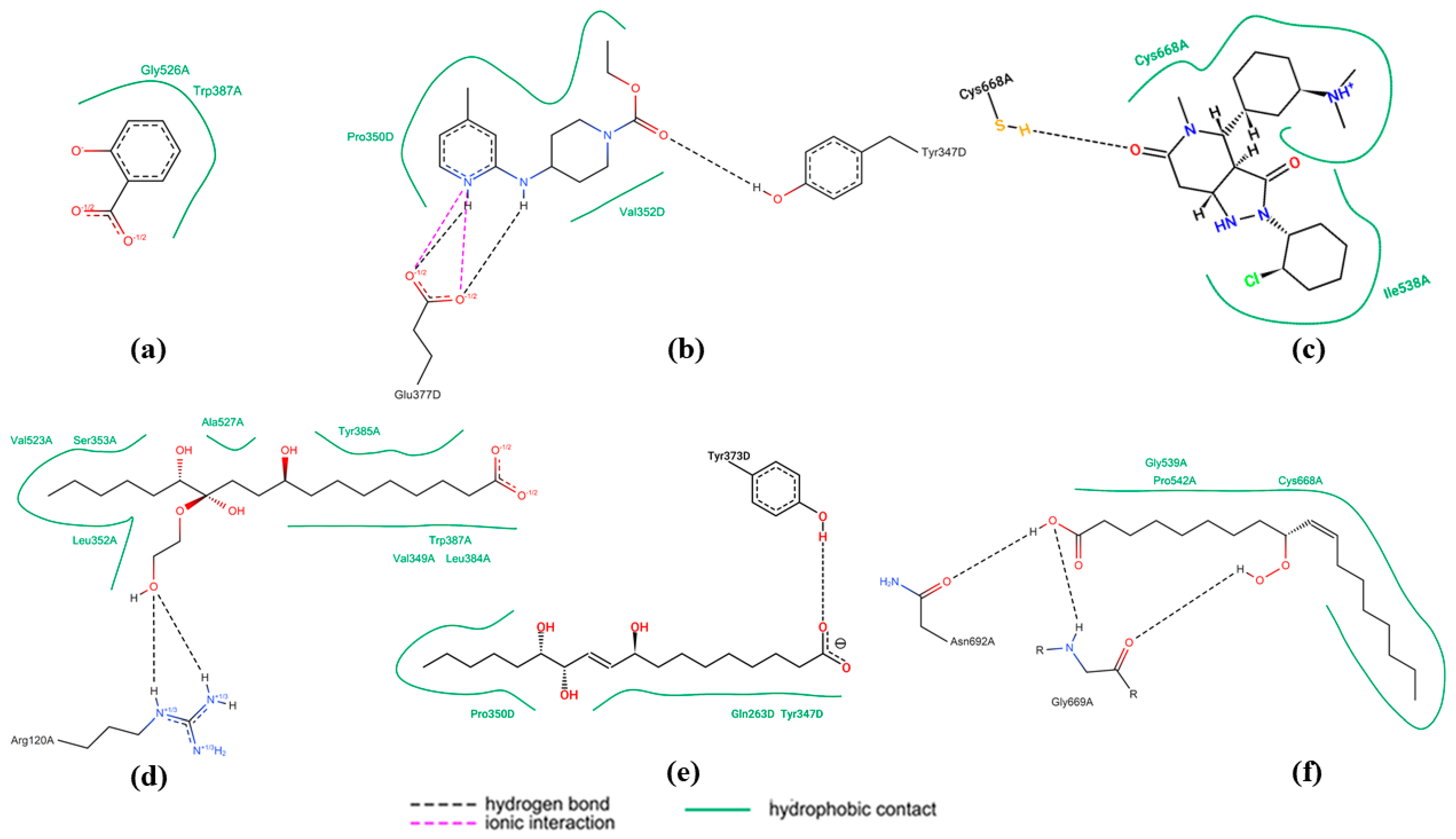 Ijms 26 08404 g006 Ijms 26 08404 g006