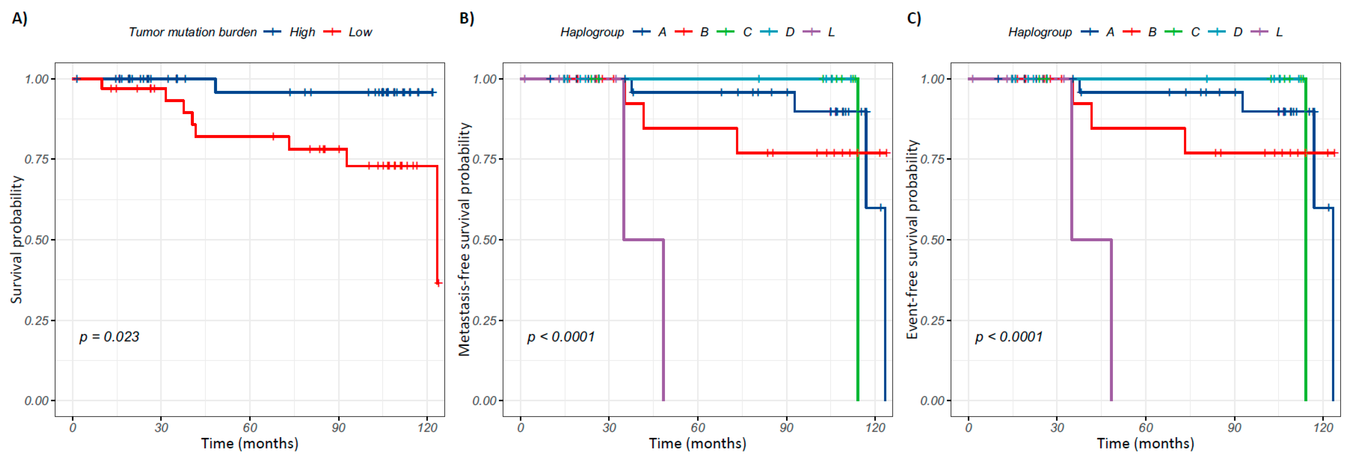 Ijms 26 08456 g005 Ijms 26 08456 g005