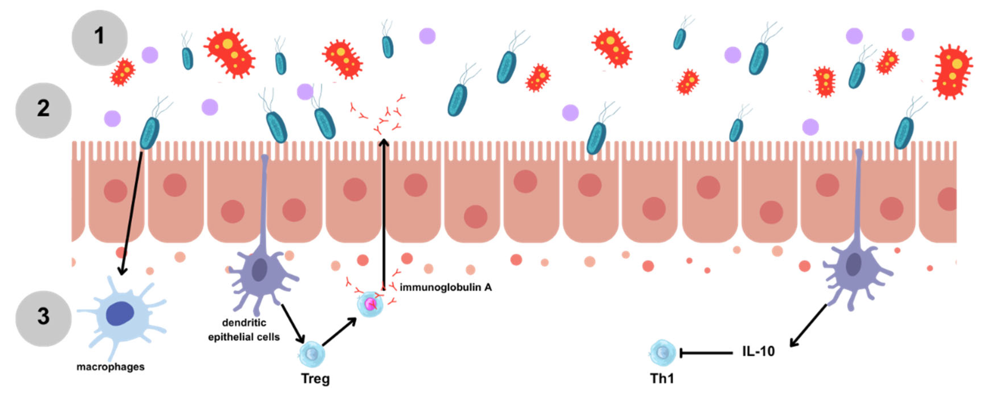 Ijms 26 08458 g005 Ijms 26 08458 g005