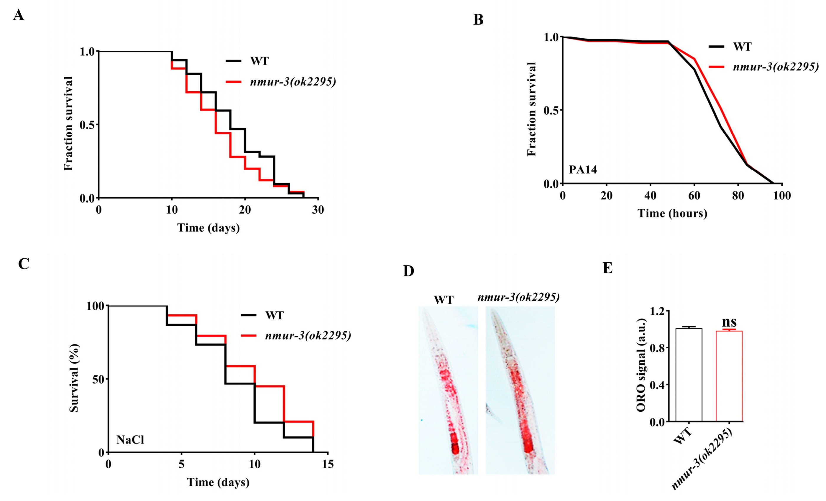 Ijms 26 08471 g001 Ijms 26 08471 g001