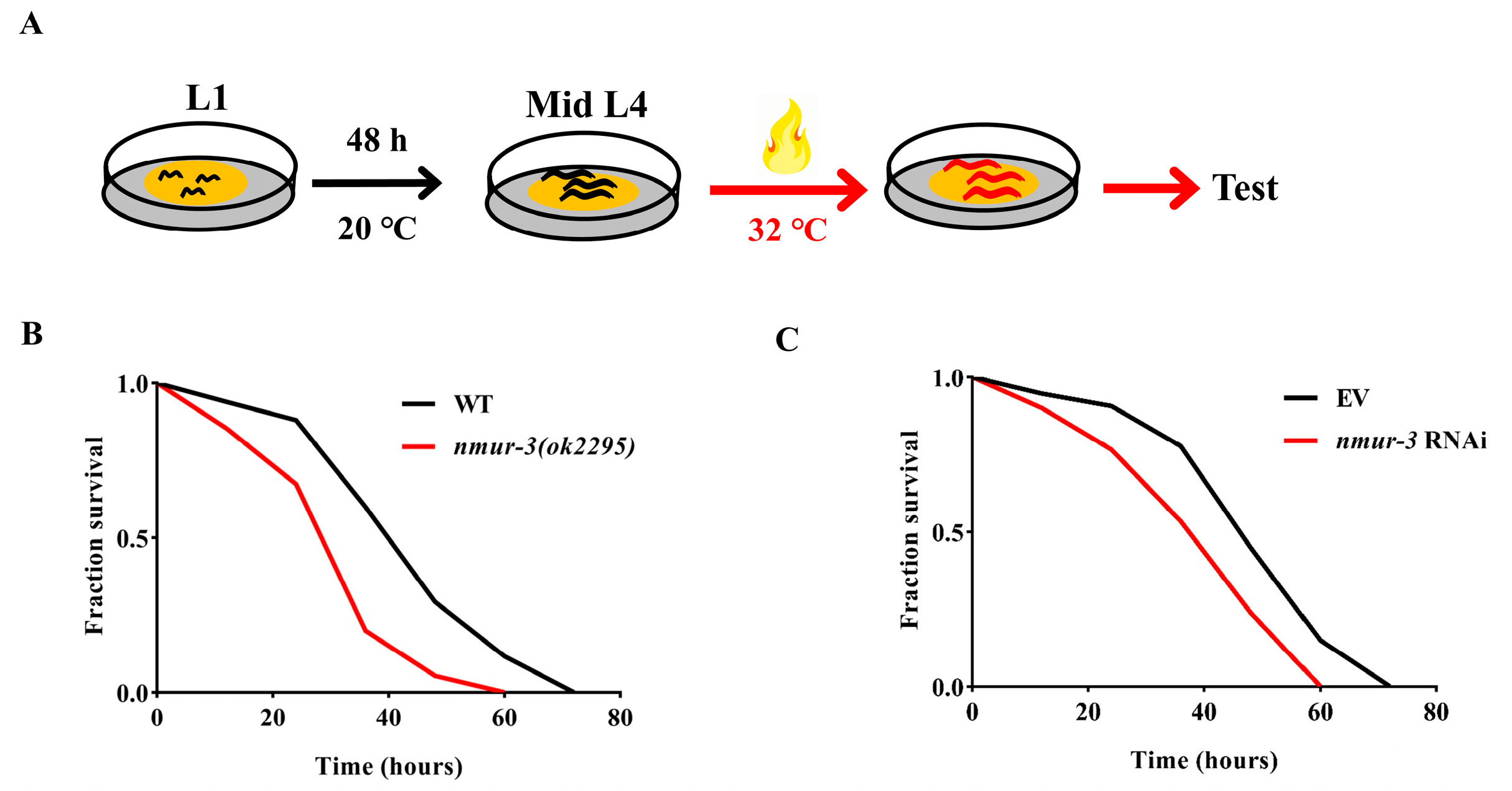 Ijms 26 08471 g002 Ijms 26 08471 g002