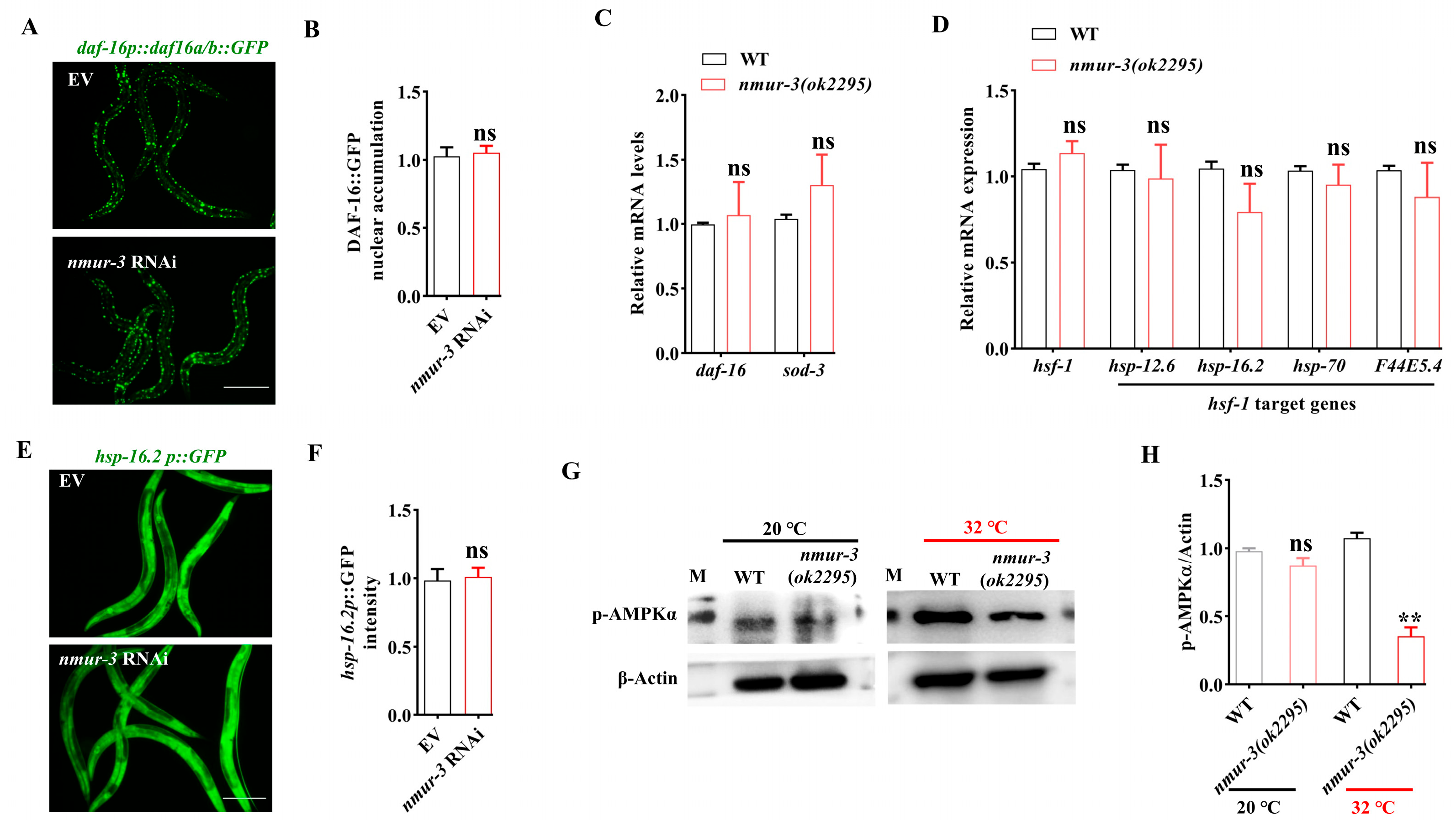 Ijms 26 08471 g003 Ijms 26 08471 g003