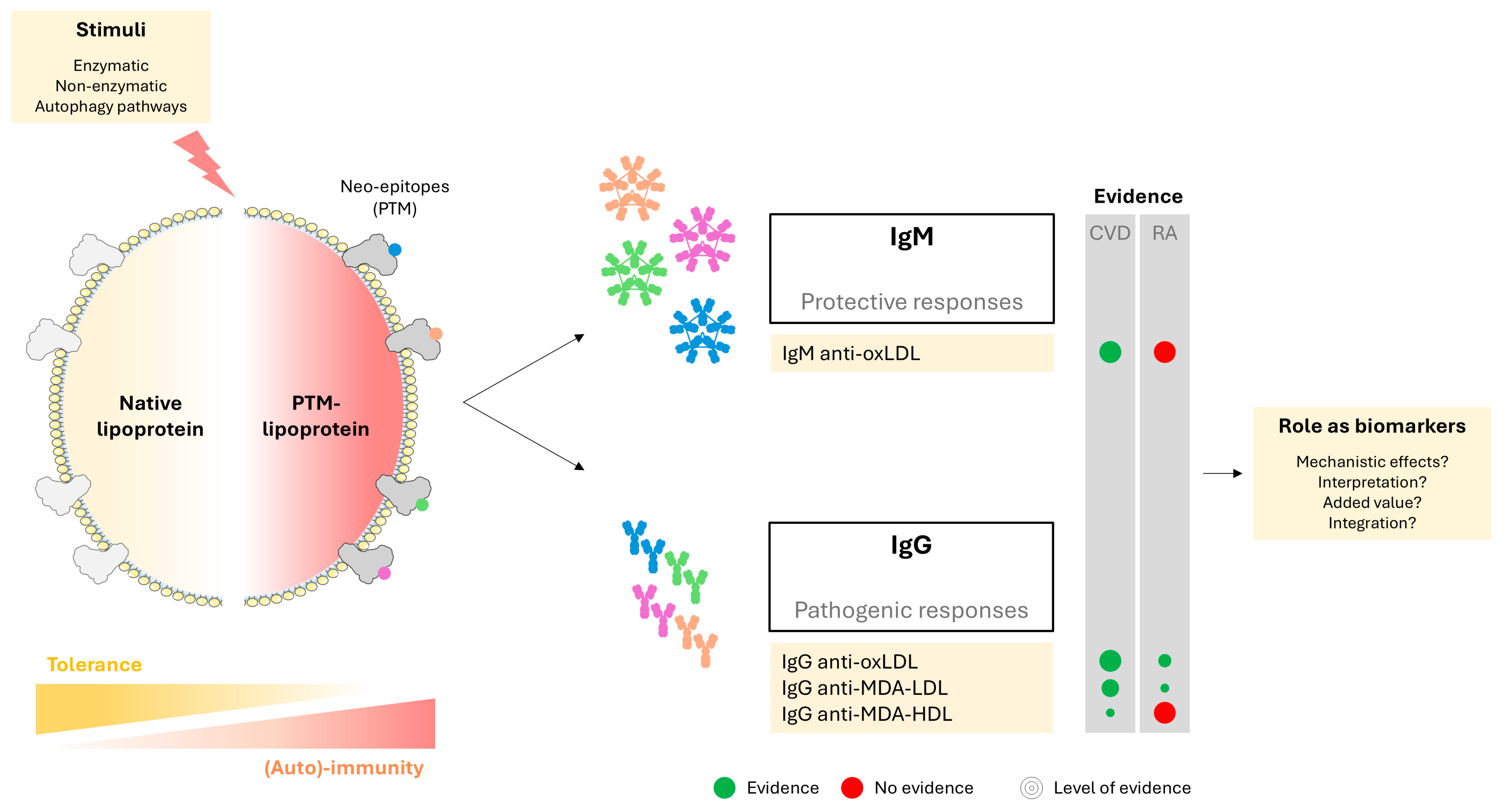 Ijms 26 08514 g006 Ijms 26 08514 g006