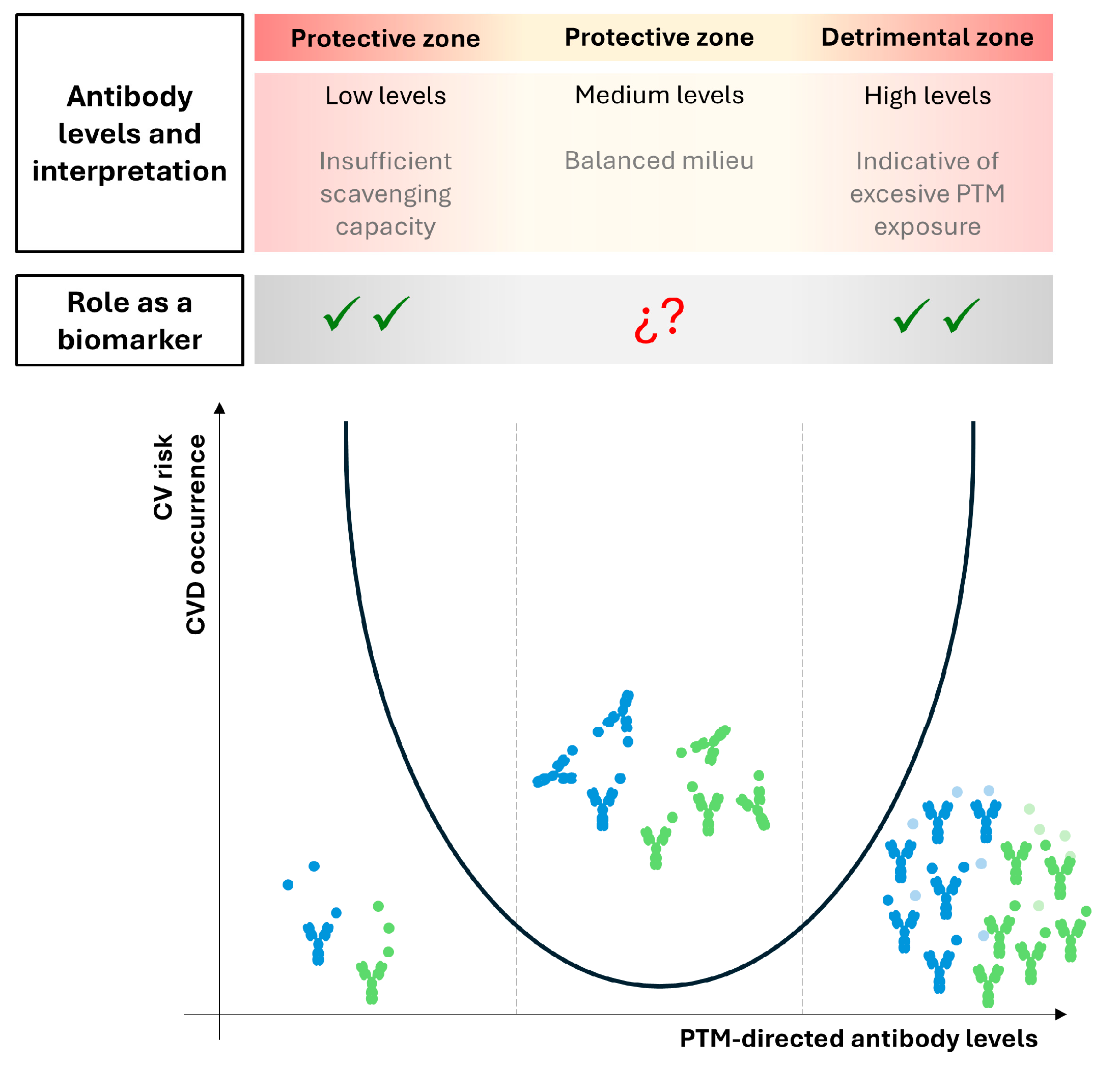 Ijms 26 08514 g007 Ijms 26 08514 g007