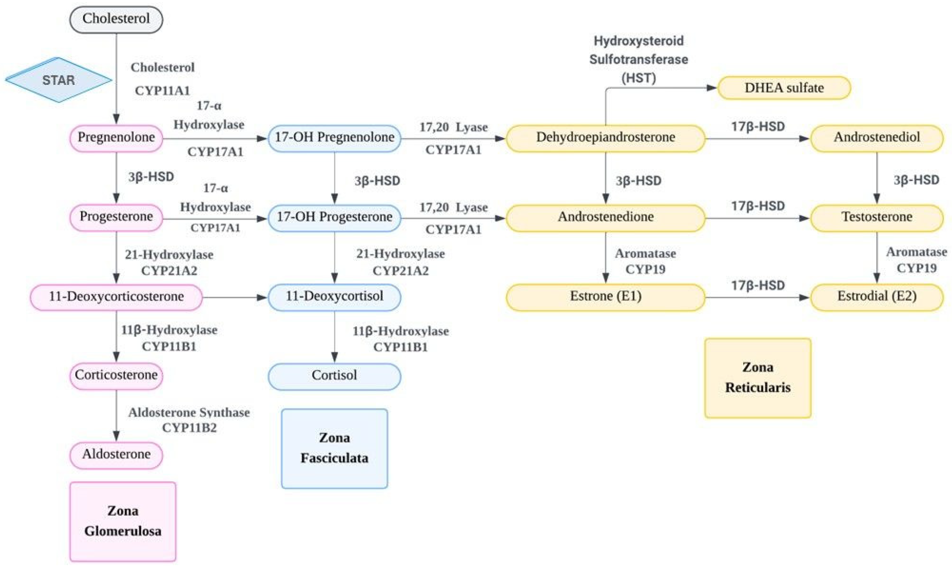 Ijms 26 08568 g001 Ijms 26 08568 g001