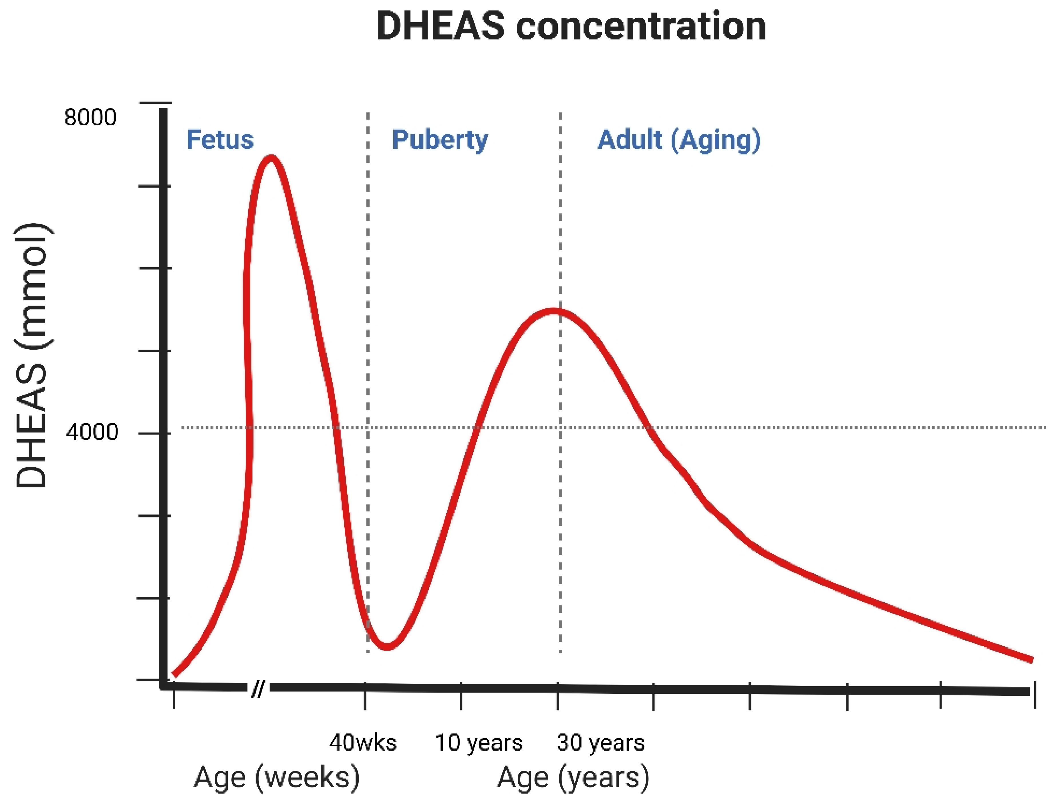Ijms 26 08568 g002 Ijms 26 08568 g002