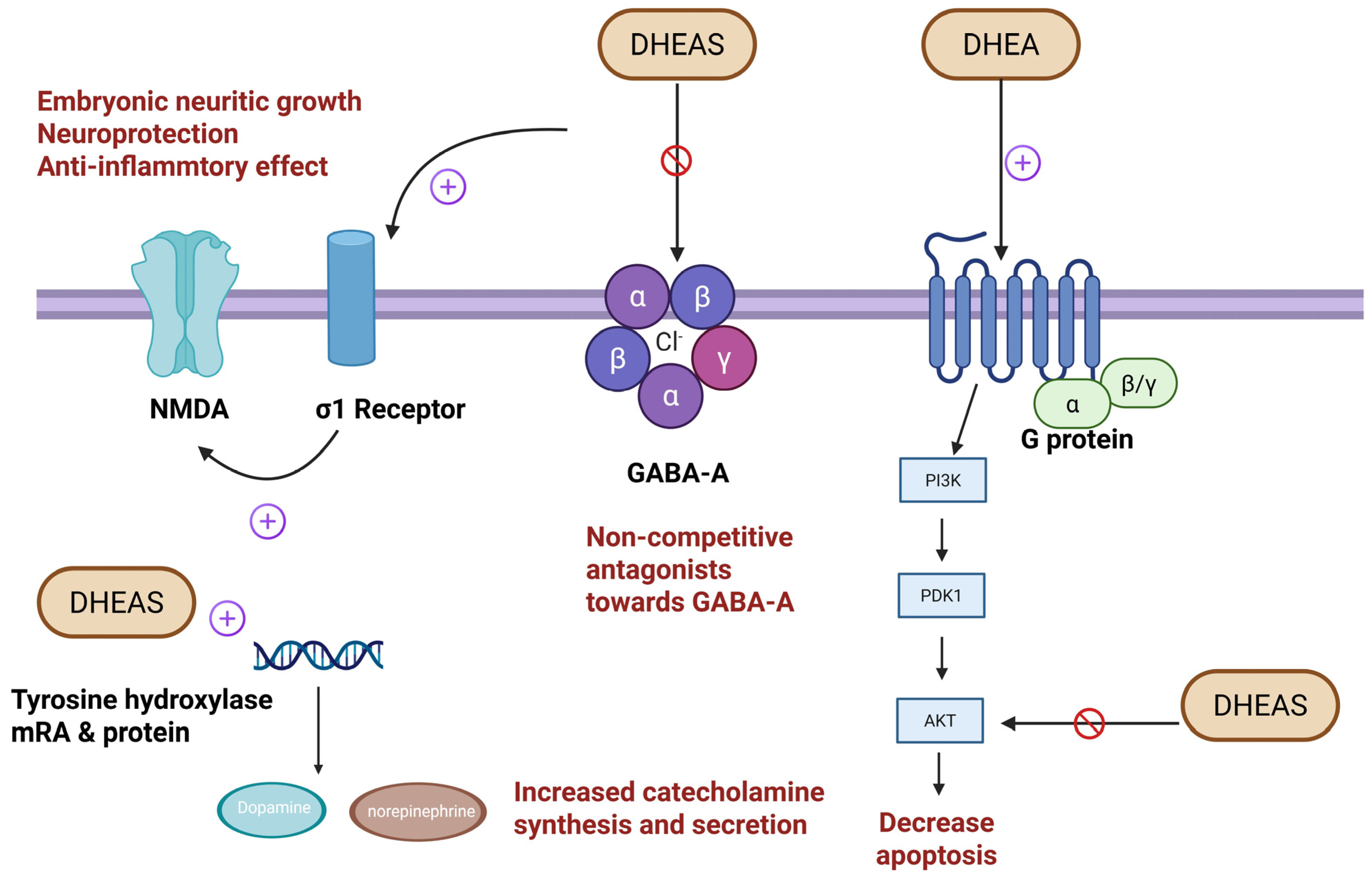 Ijms 26 08568 g005 Ijms 26 08568 g005