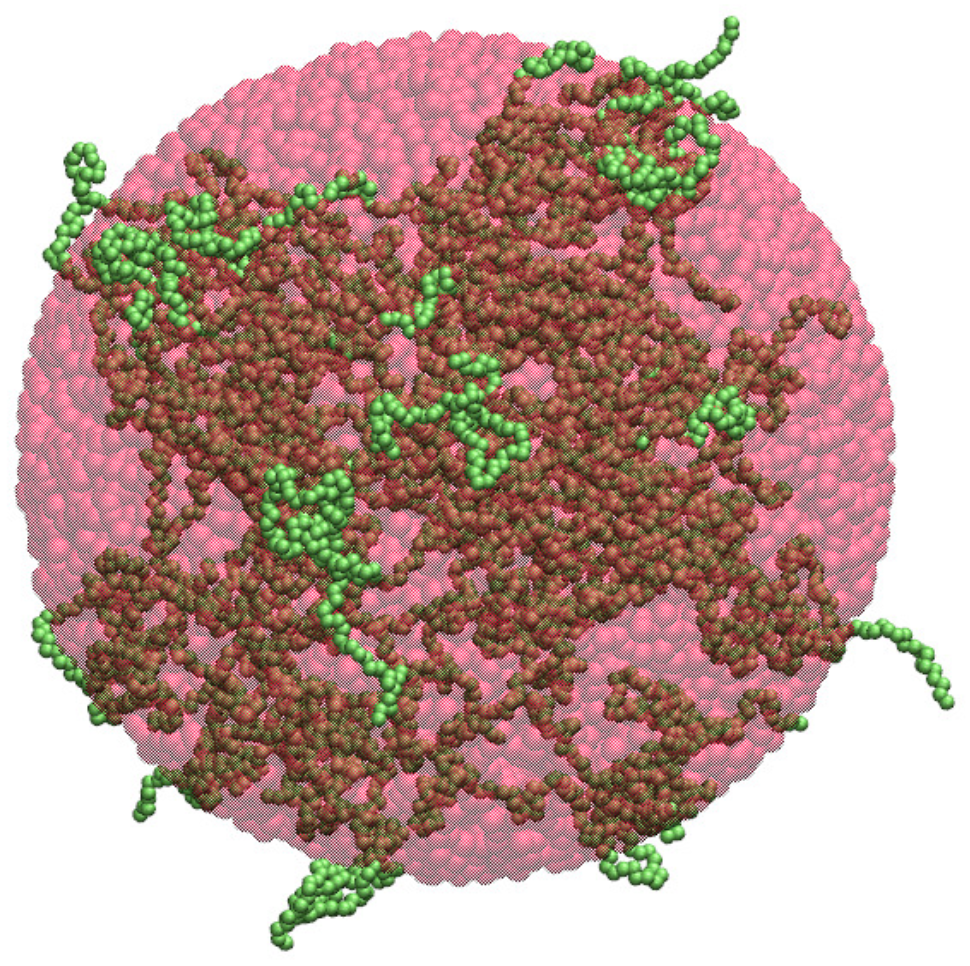 Ijms 26 08631 g001 Ijms 26 08631 g001