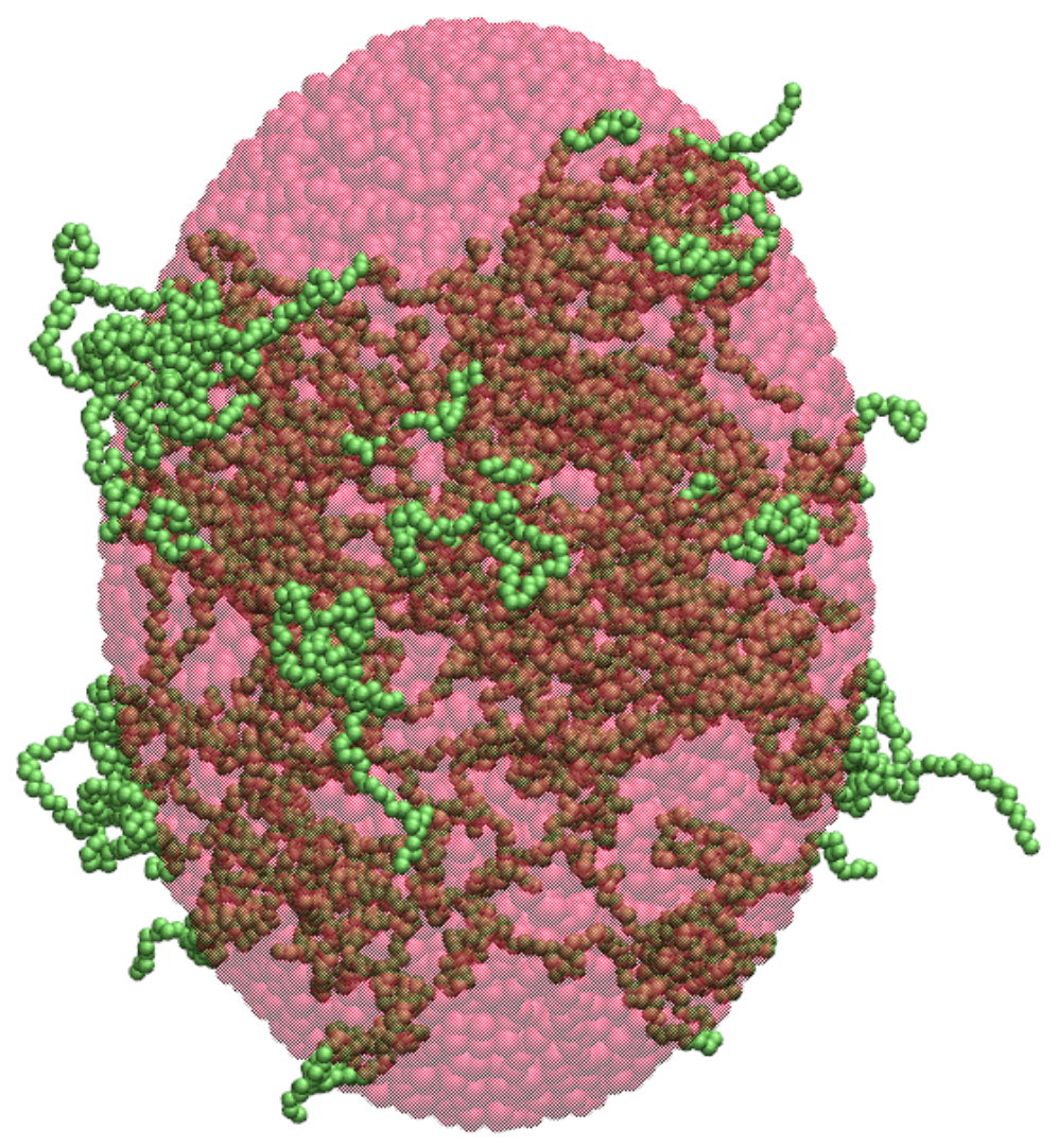 Ijms 26 08631 g003 Ijms 26 08631 g003