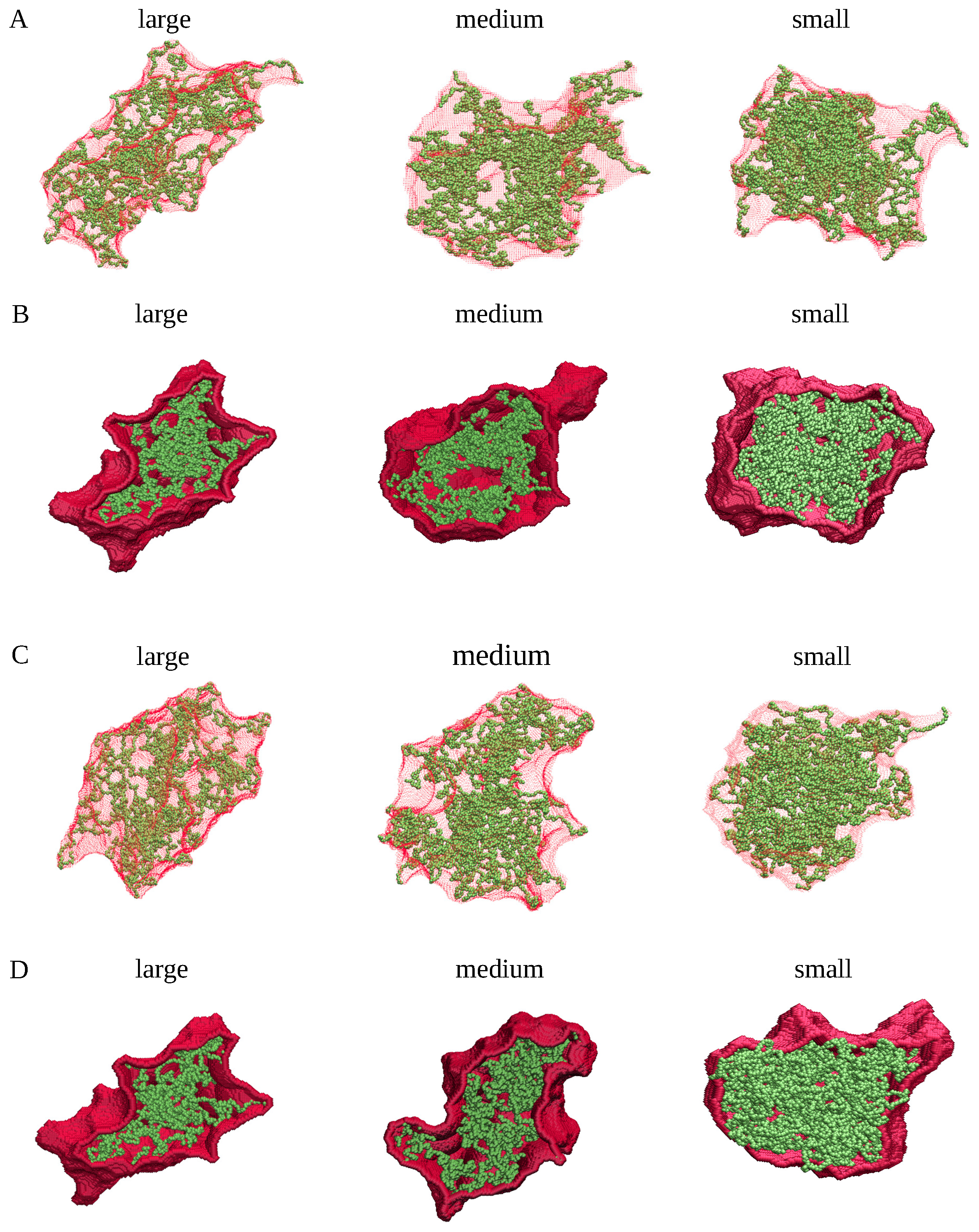 Ijms 26 08631 g012 Ijms 26 08631 g012