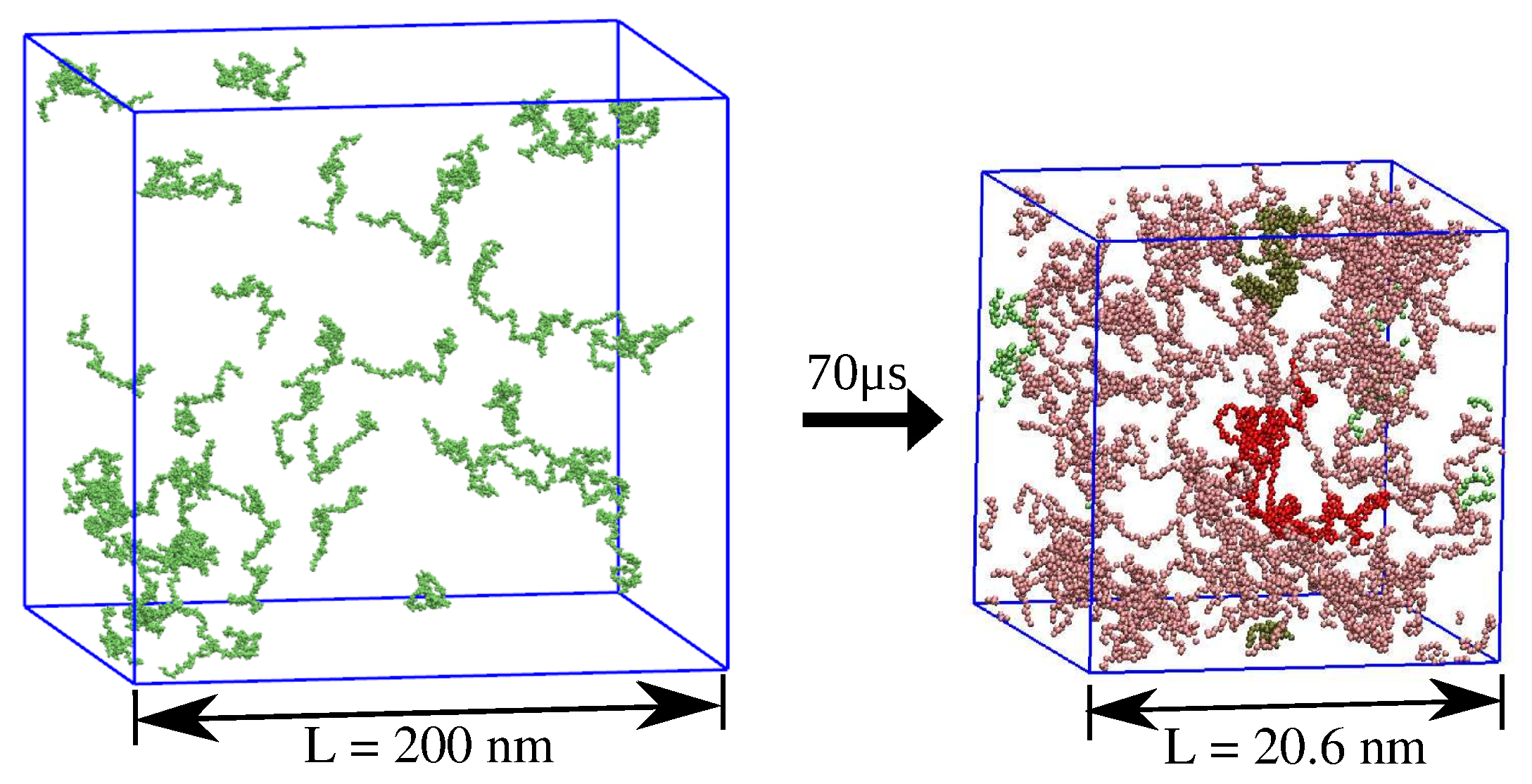 Ijms 26 08631 g015 Ijms 26 08631 g015