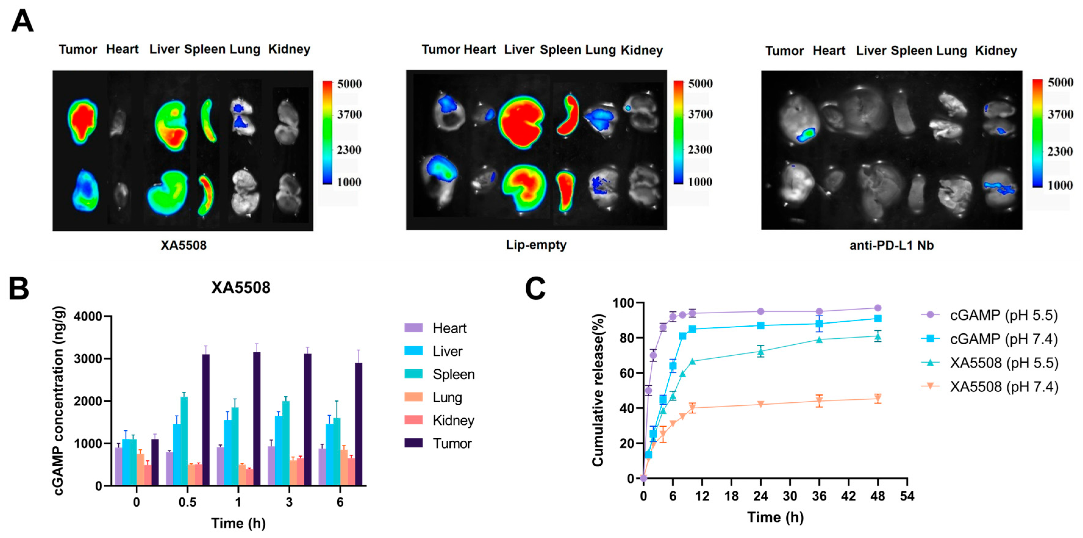 Ijms 26 08649 g002 Ijms 26 08649 g002