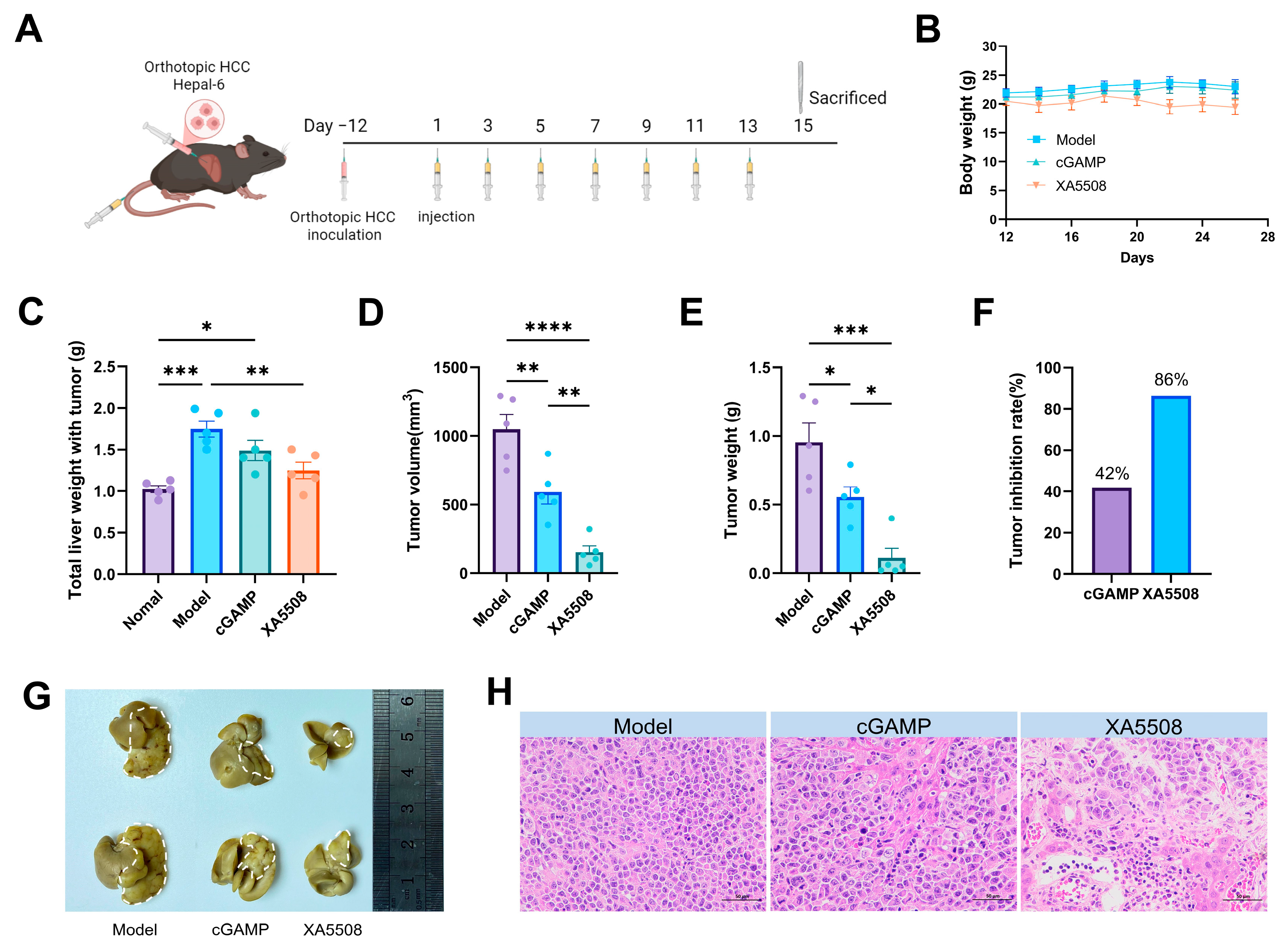 Ijms 26 08649 g003 Ijms 26 08649 g003