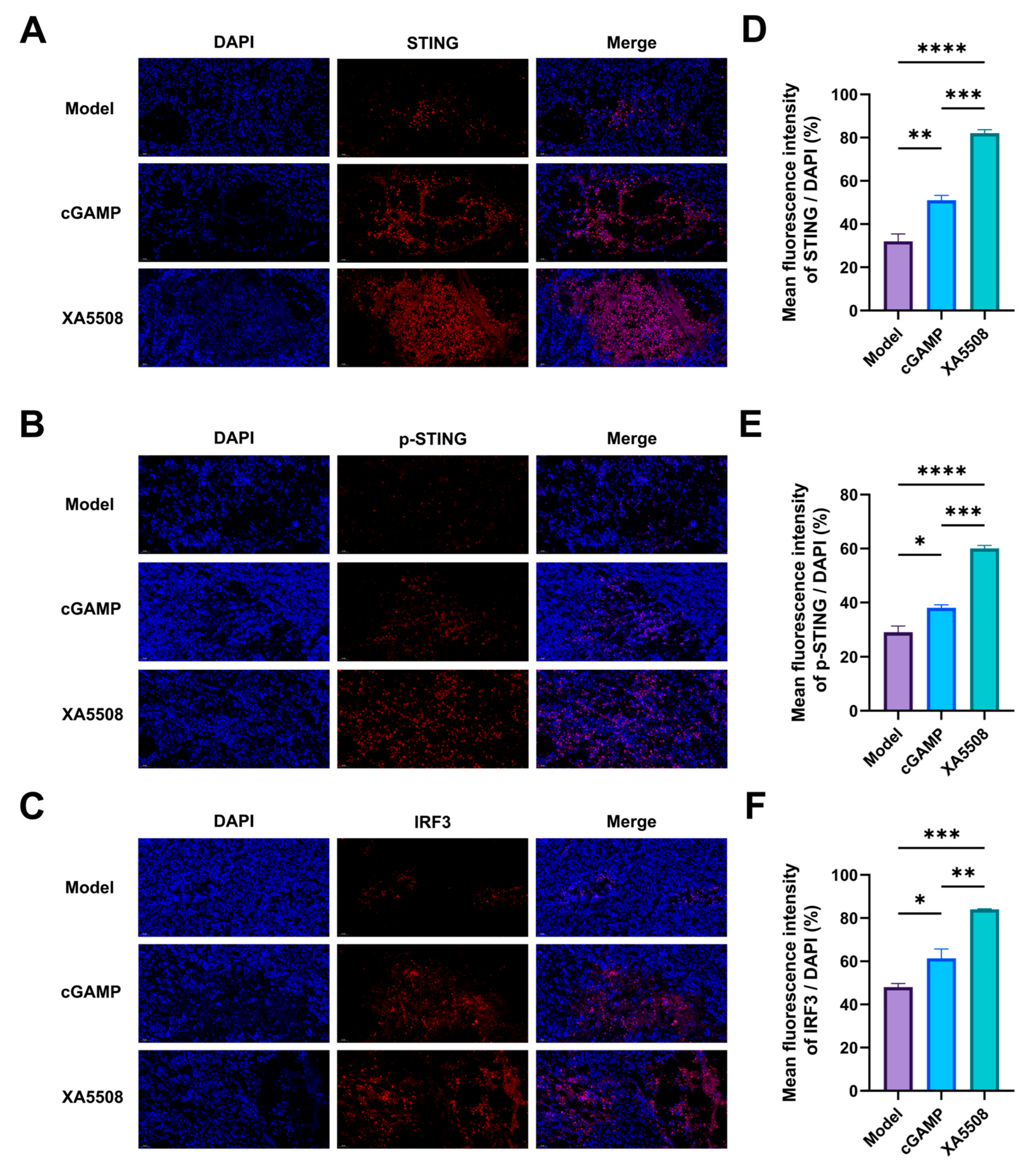 Ijms 26 08649 g004 Ijms 26 08649 g004
