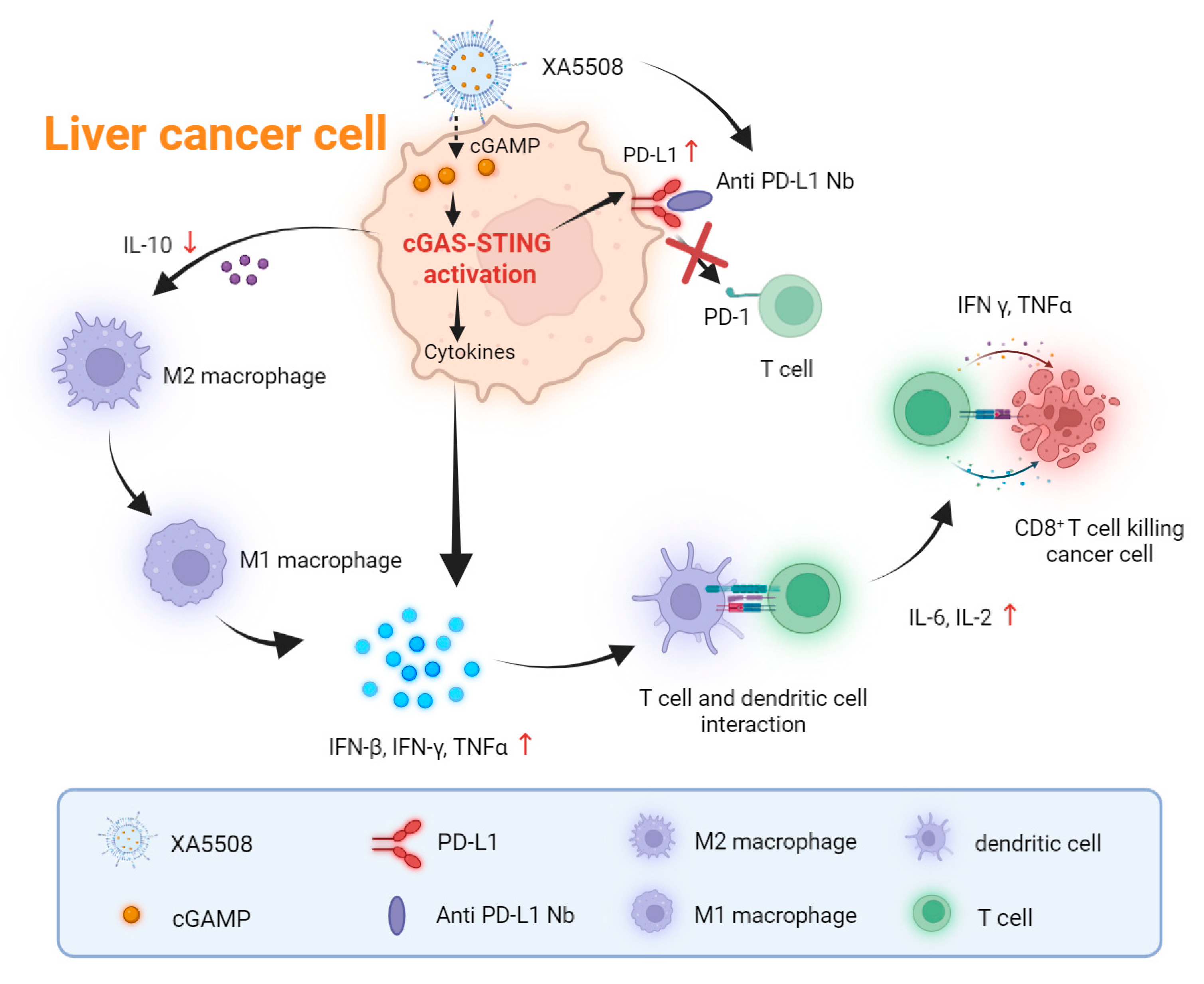 Ijms 26 08649 g006 Ijms 26 08649 g006