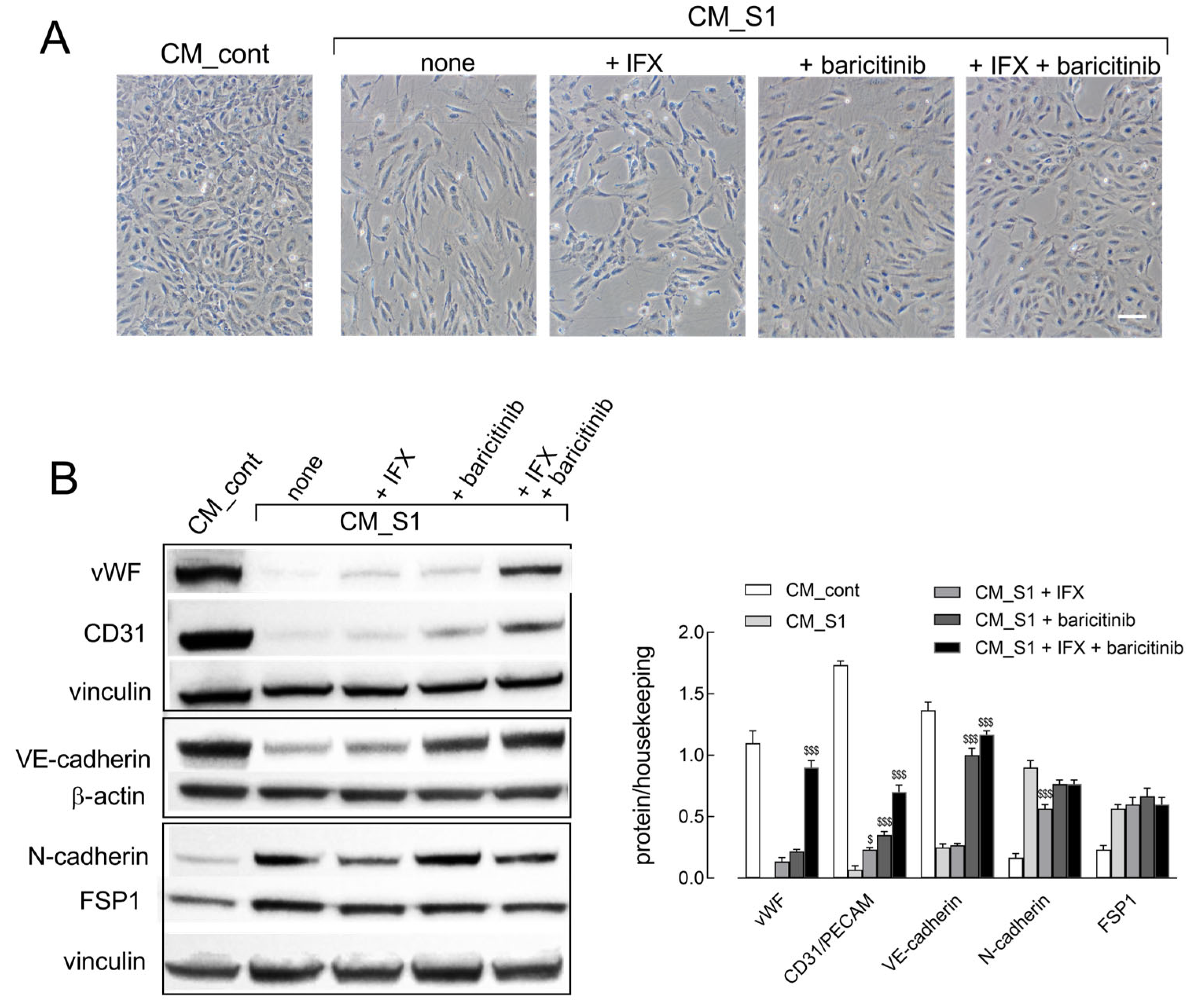 Ijms 26 08672 g003 Ijms 26 08672 g003