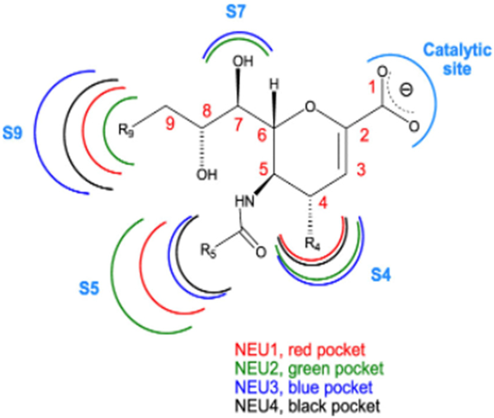 Ijms 26 08733 g002 Ijms 26 08733 g002