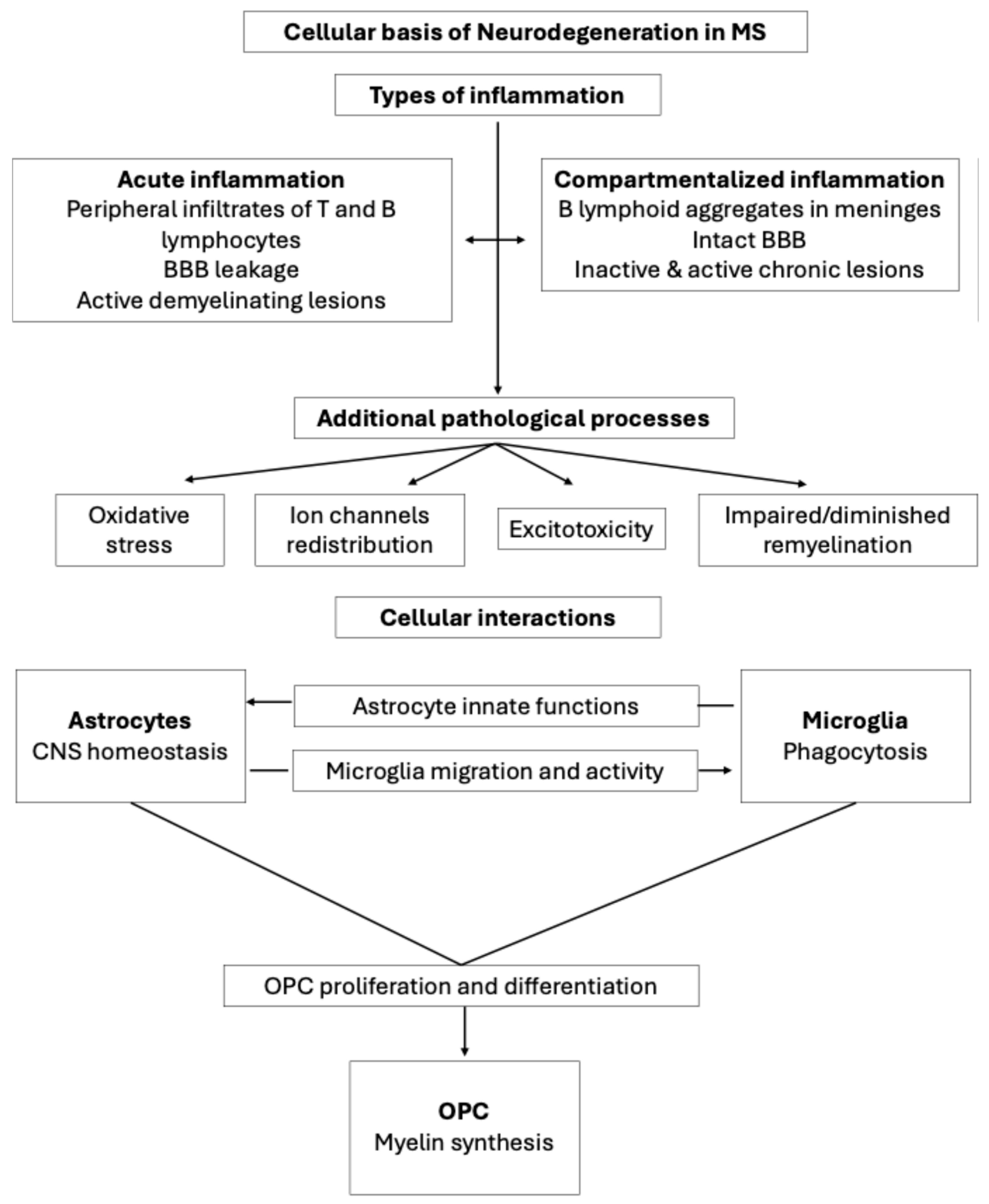 Ijms 26 08740 g001 Ijms 26 08740 g001