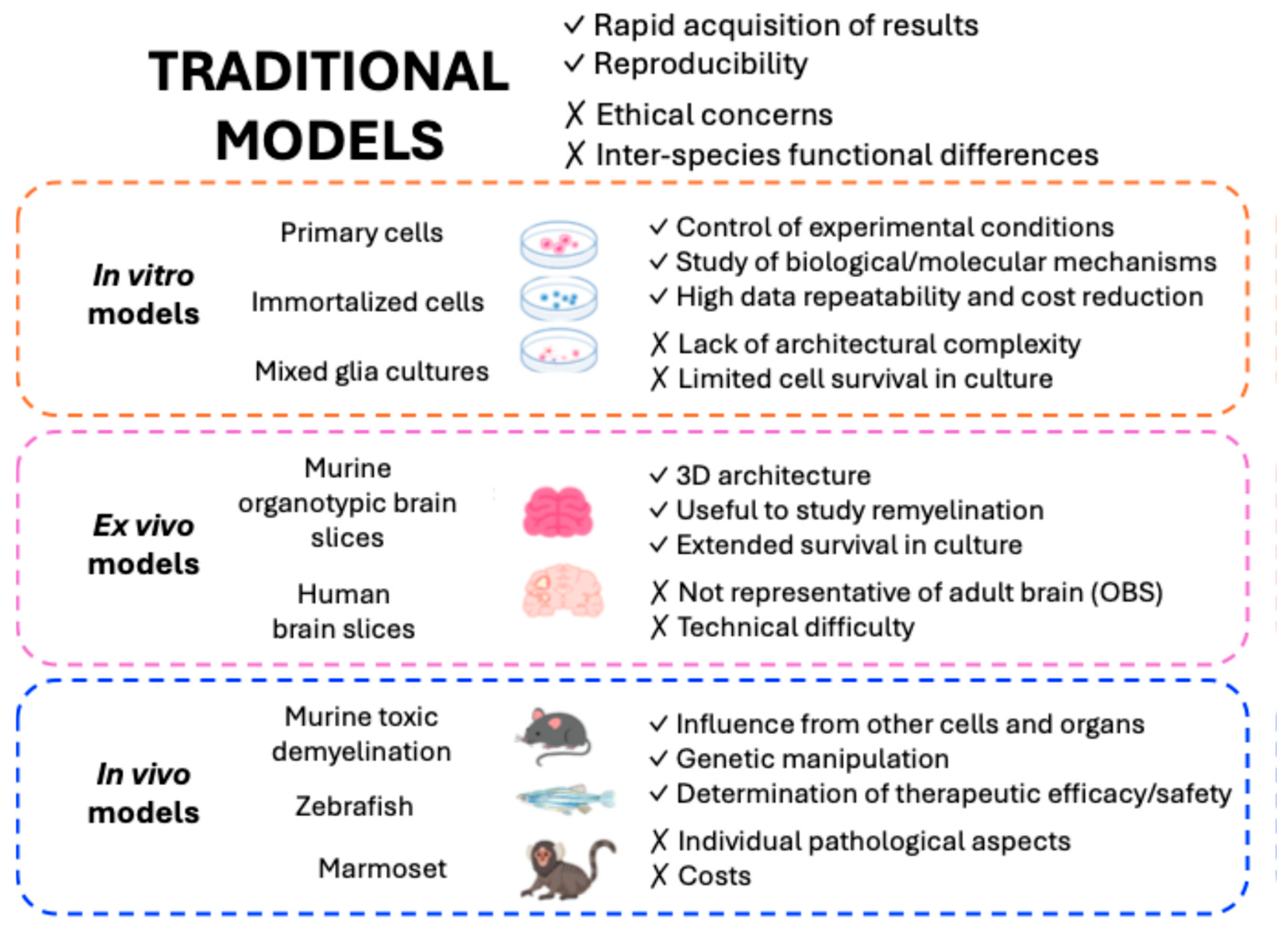 Ijms 26 08740 g002 Ijms 26 08740 g002