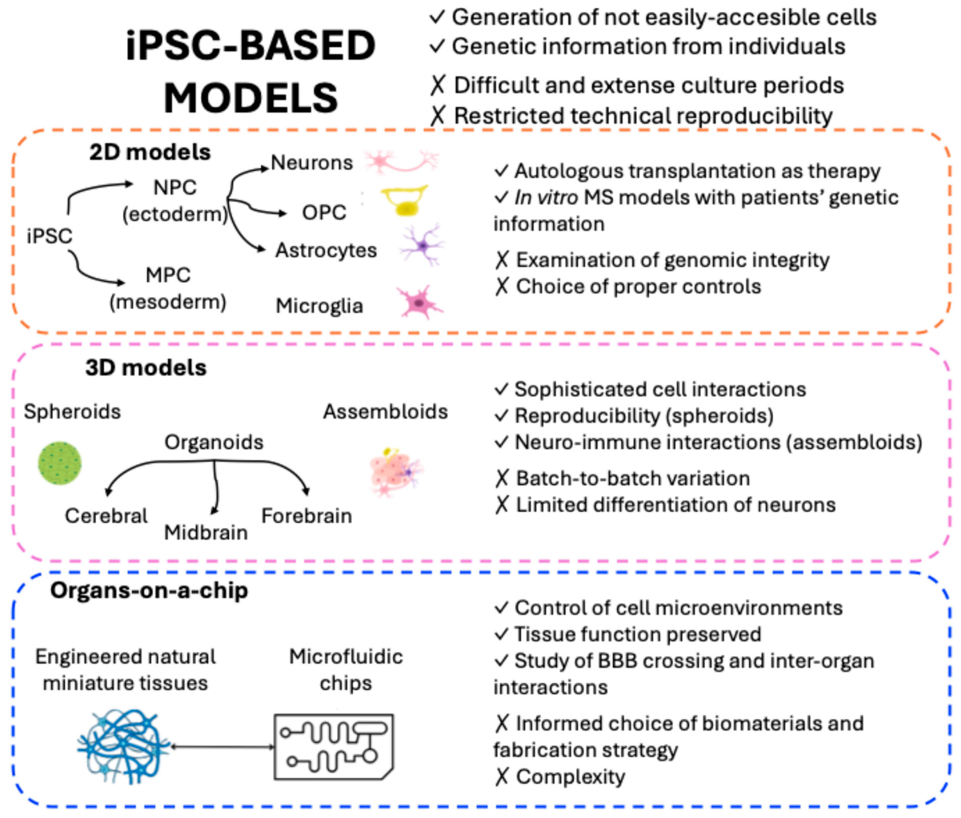 Ijms 26 08740 g003 Ijms 26 08740 g003