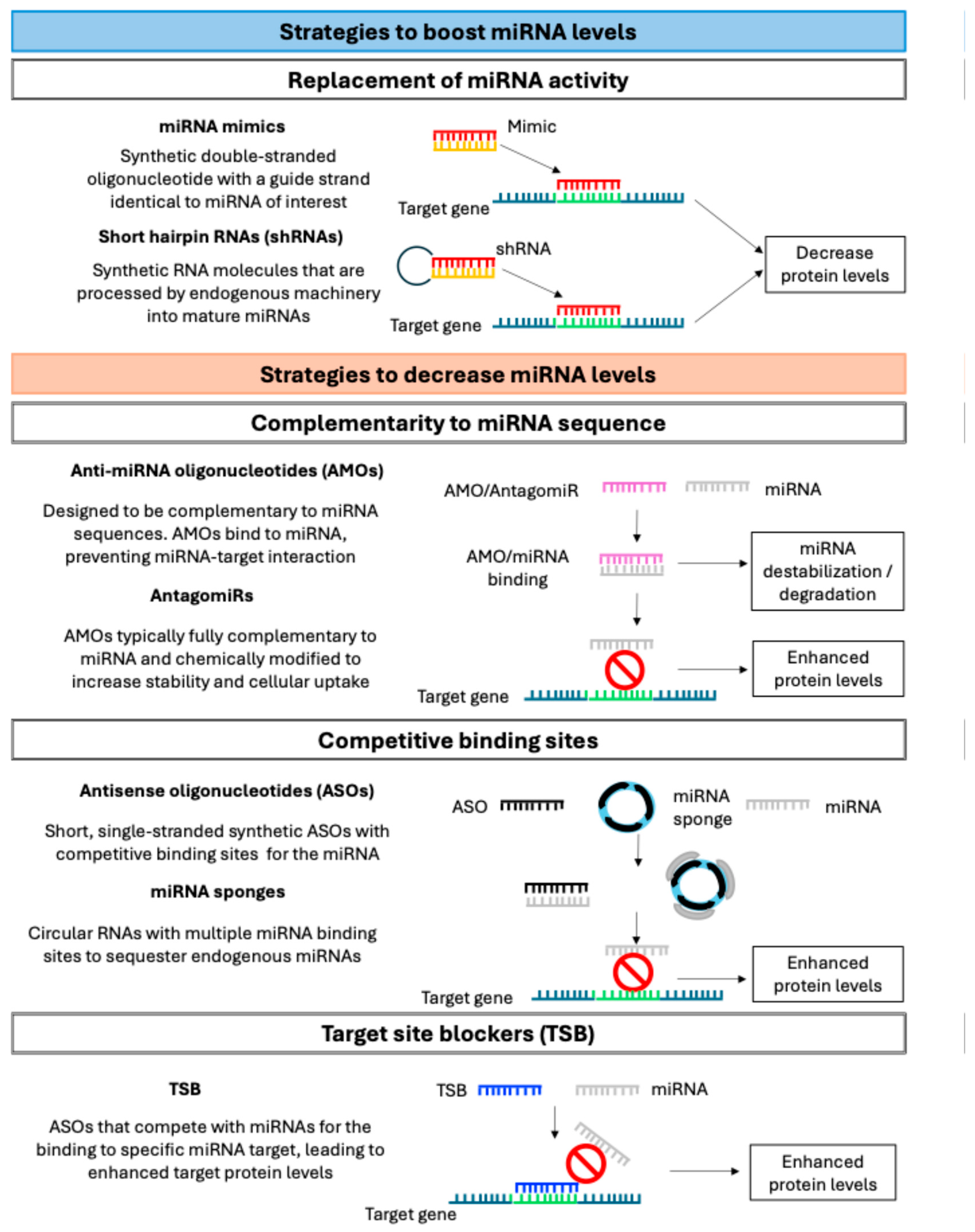 Ijms 26 08740 g004 Ijms 26 08740 g004
