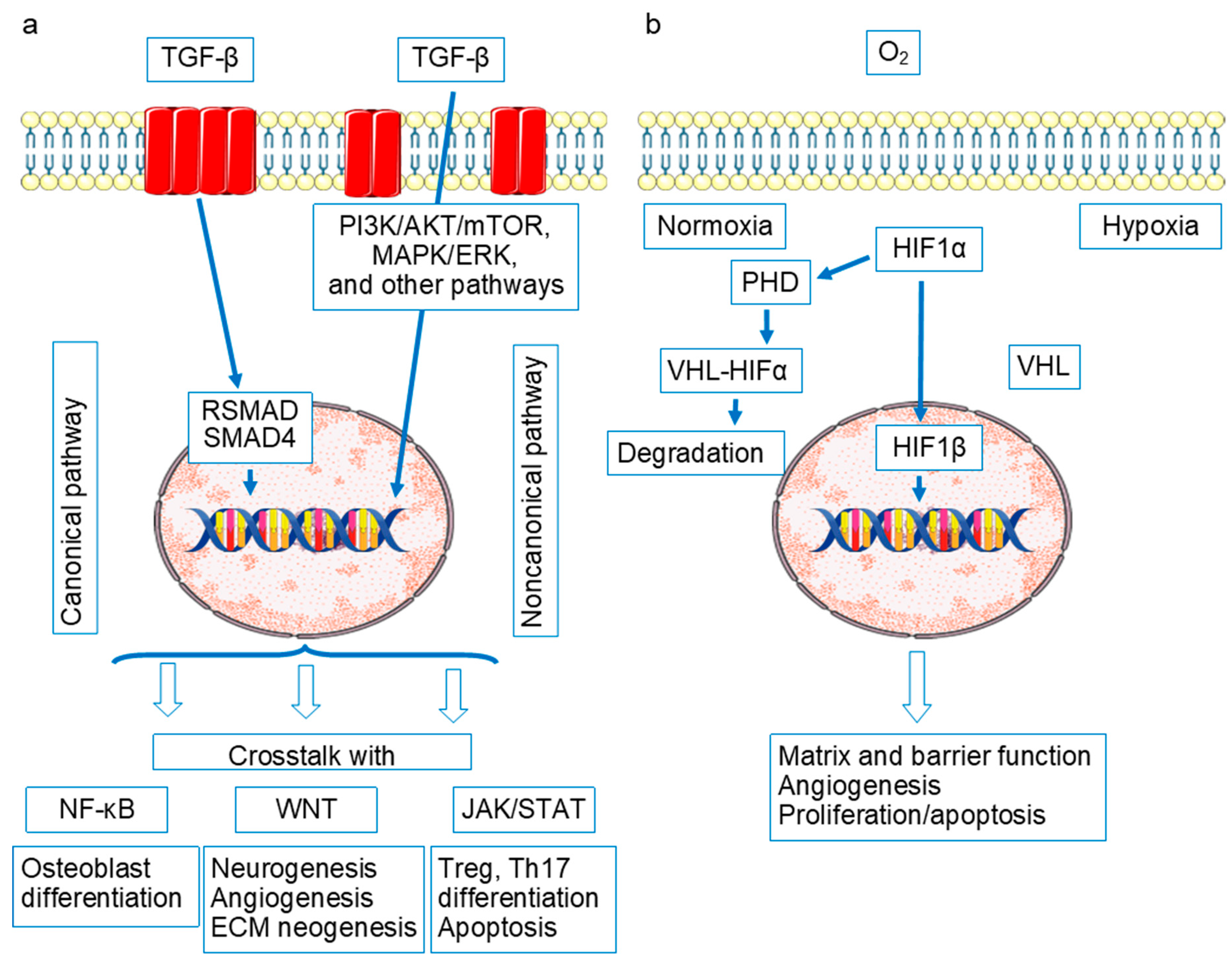 Ijms 26 08742 g002 Ijms 26 08742 g002