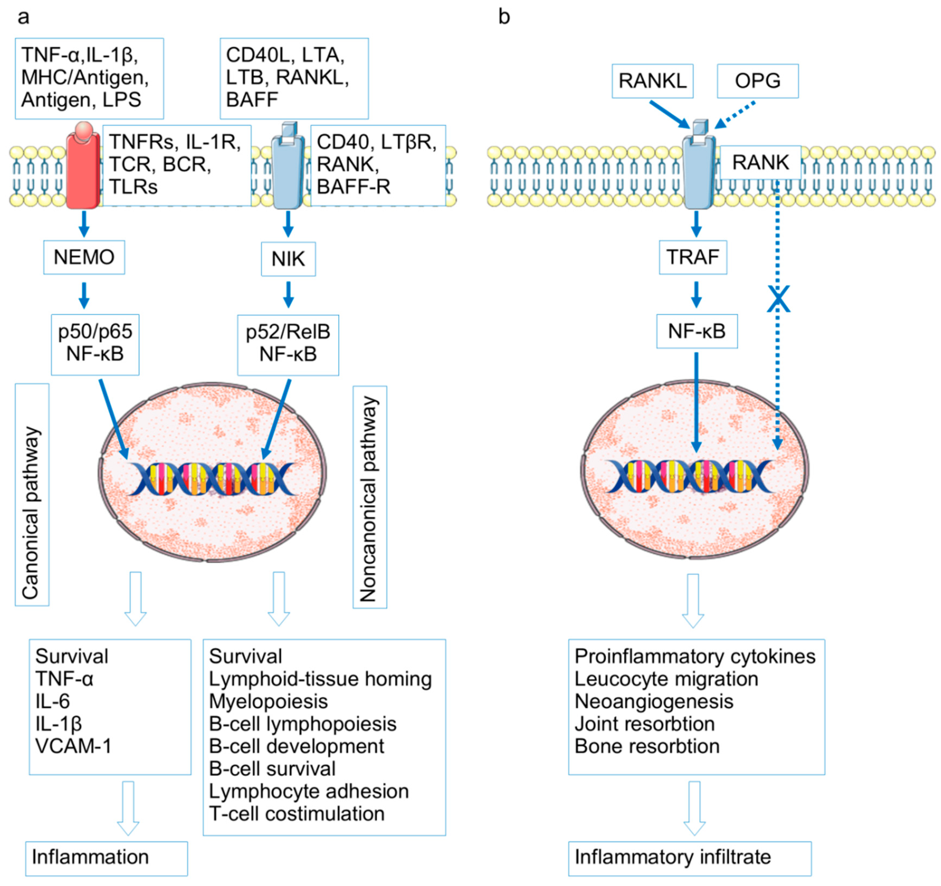 Ijms 26 08742 g003 Ijms 26 08742 g003