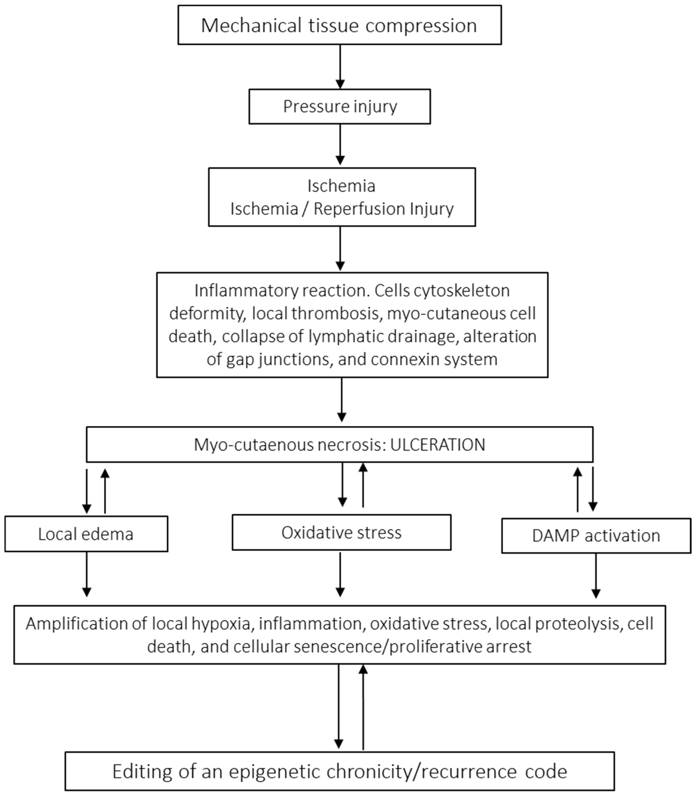 Ijms 26 08745 g002 Ijms 26 08745 g002
