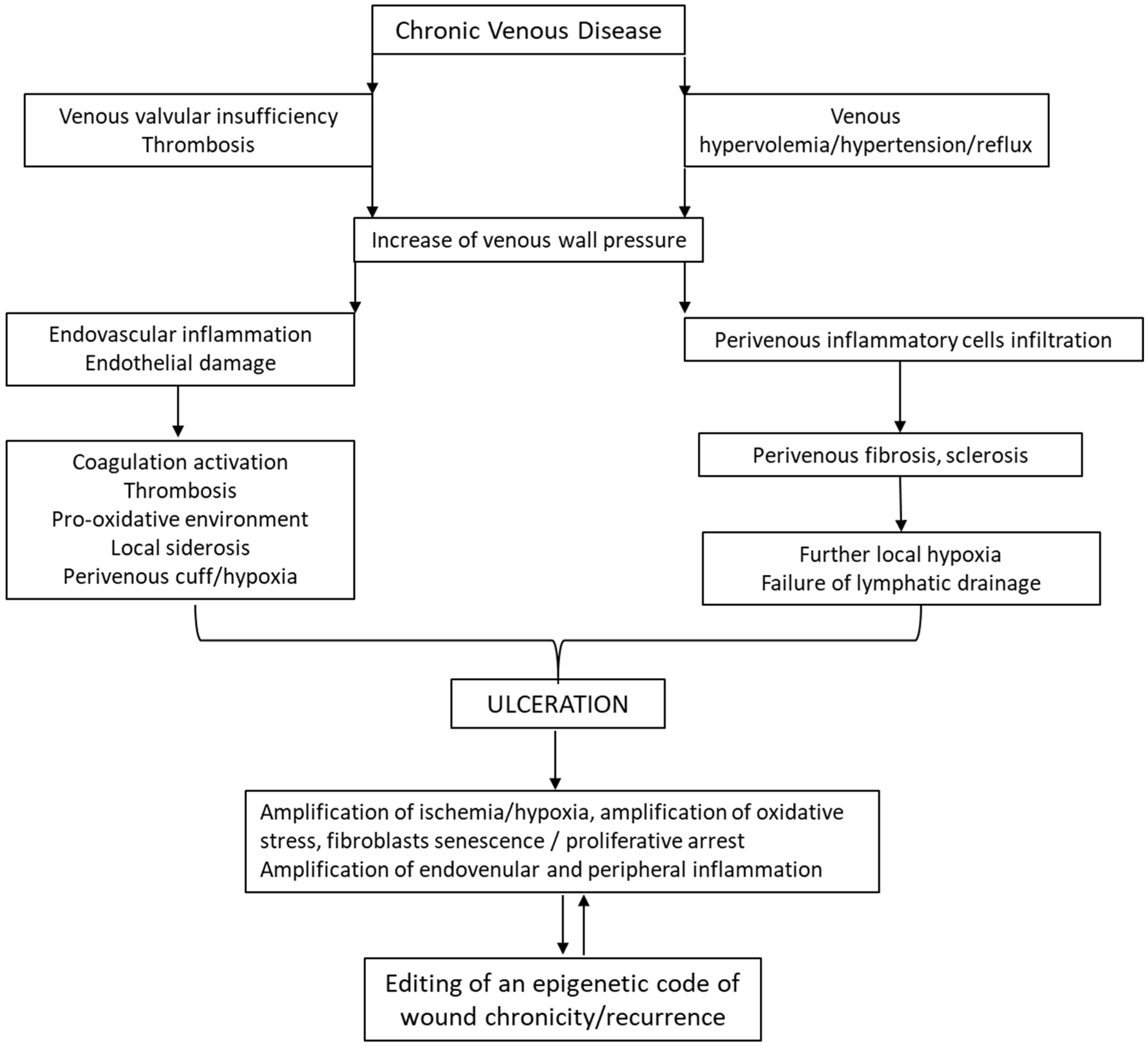 Ijms 26 08745 g003 Ijms 26 08745 g003