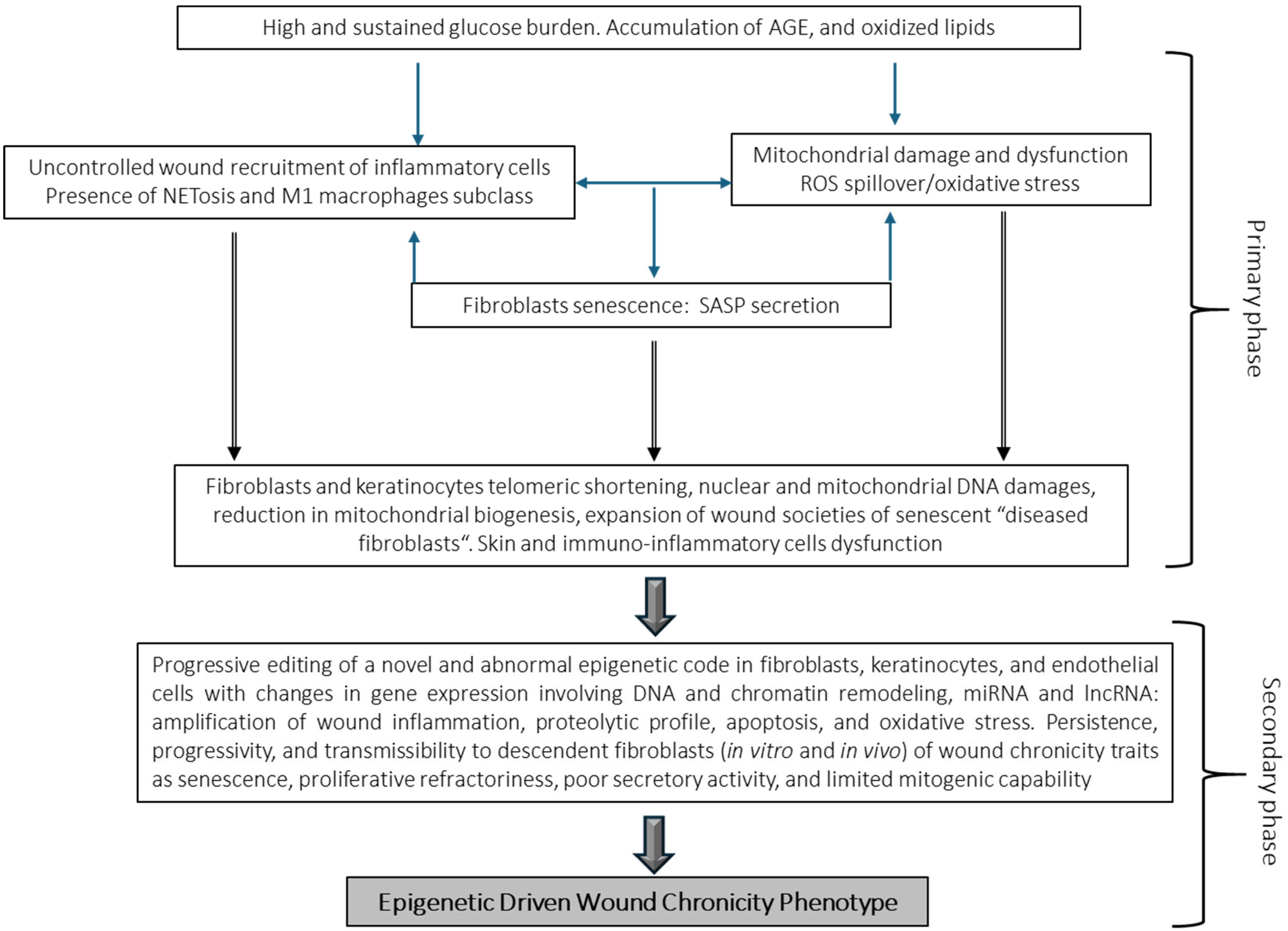 Ijms 26 08745 g005 Ijms 26 08745 g005