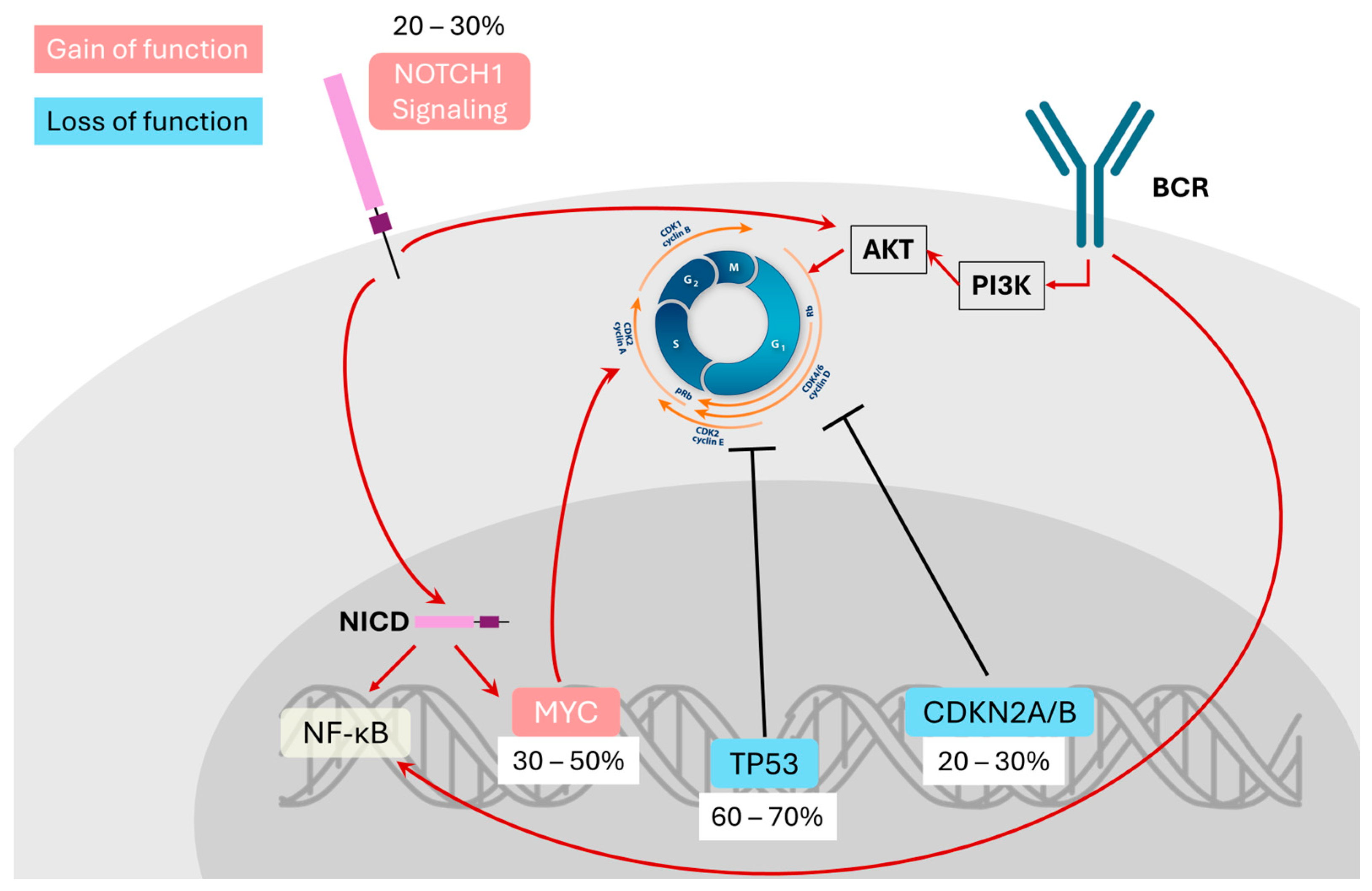 Ijms 26 08747 g001 Ijms 26 08747 g001
