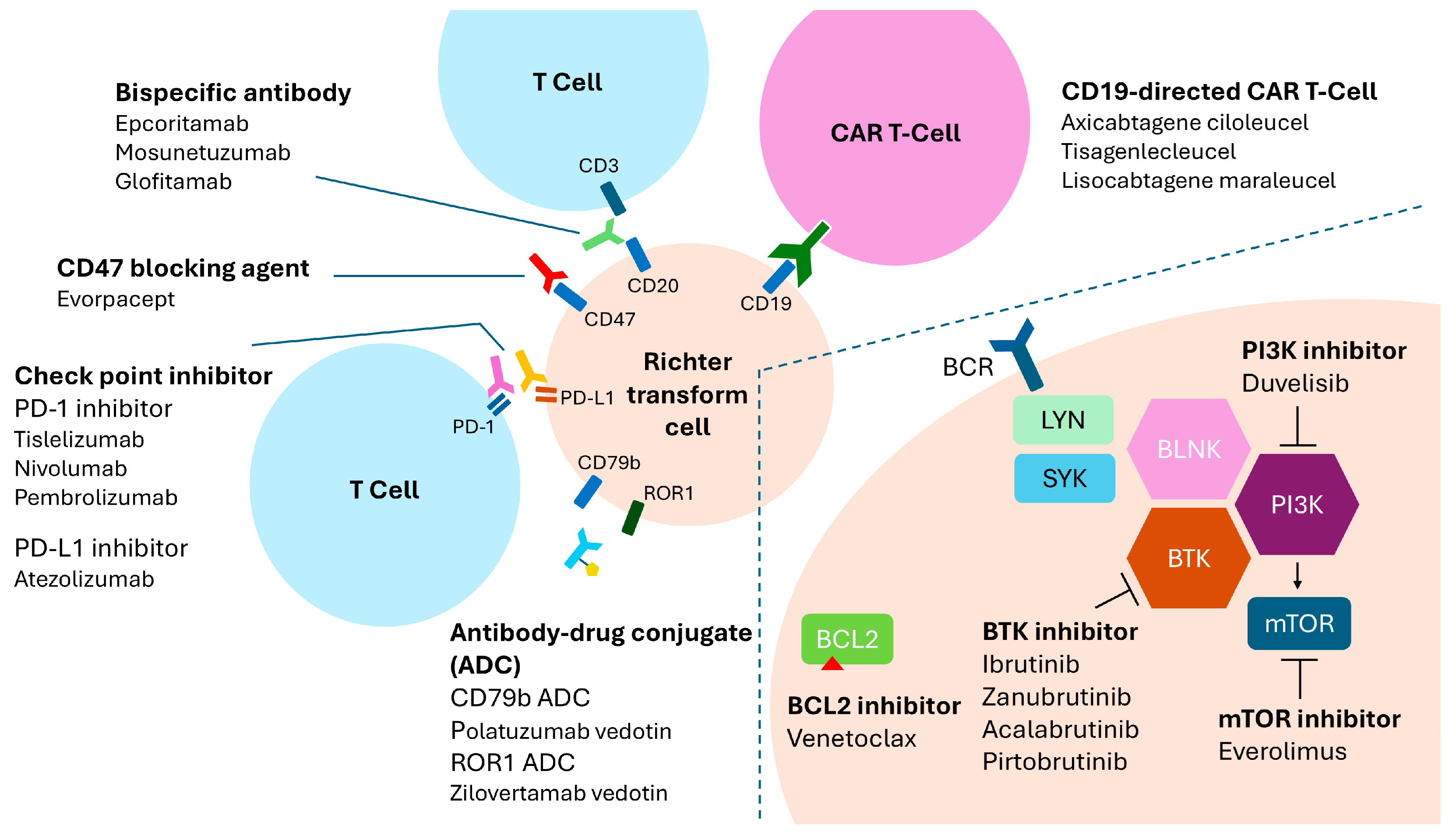 Ijms 26 08747 g002 Ijms 26 08747 g002
