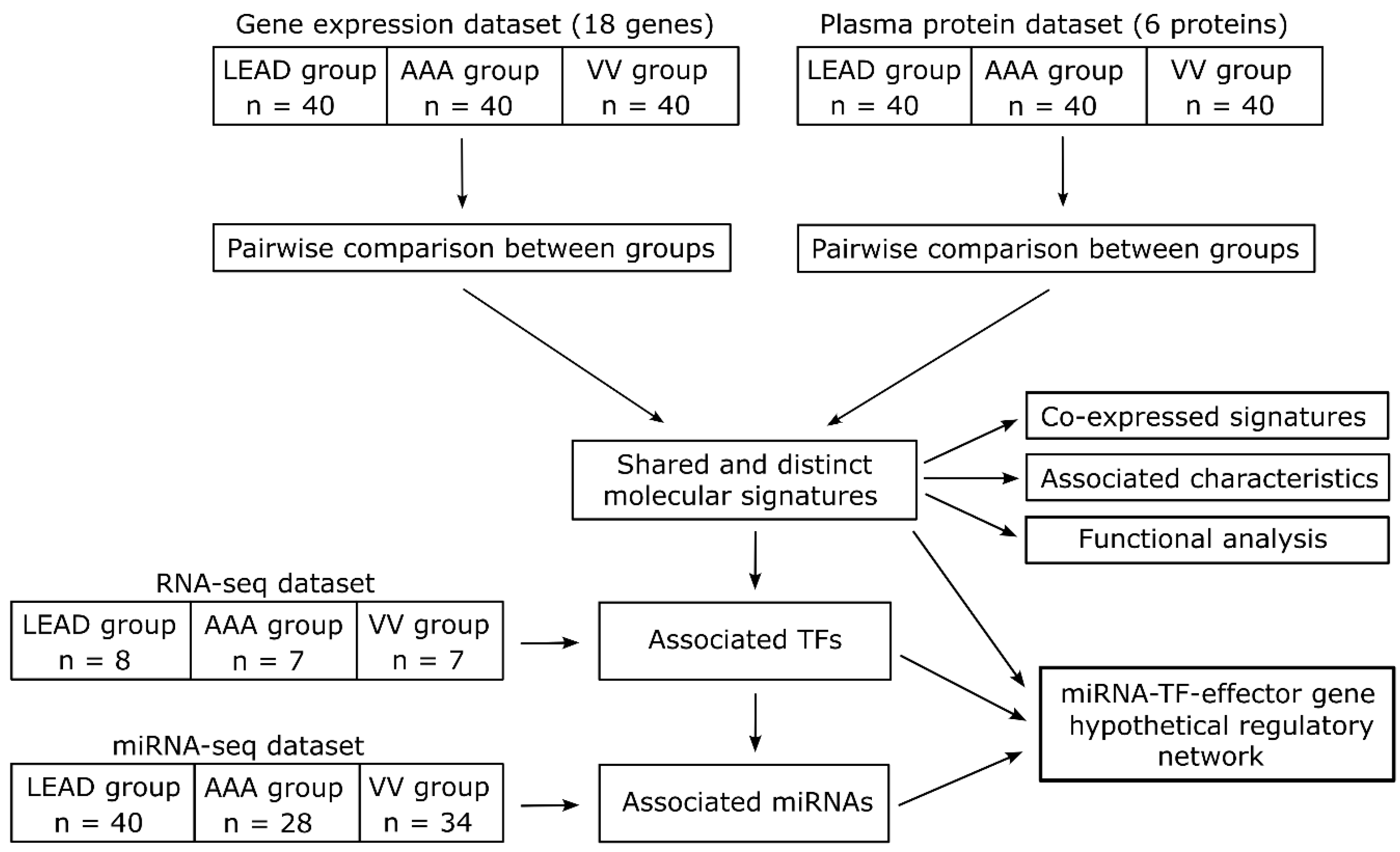 Ijms 26 08786 g001 Ijms 26 08786 g001