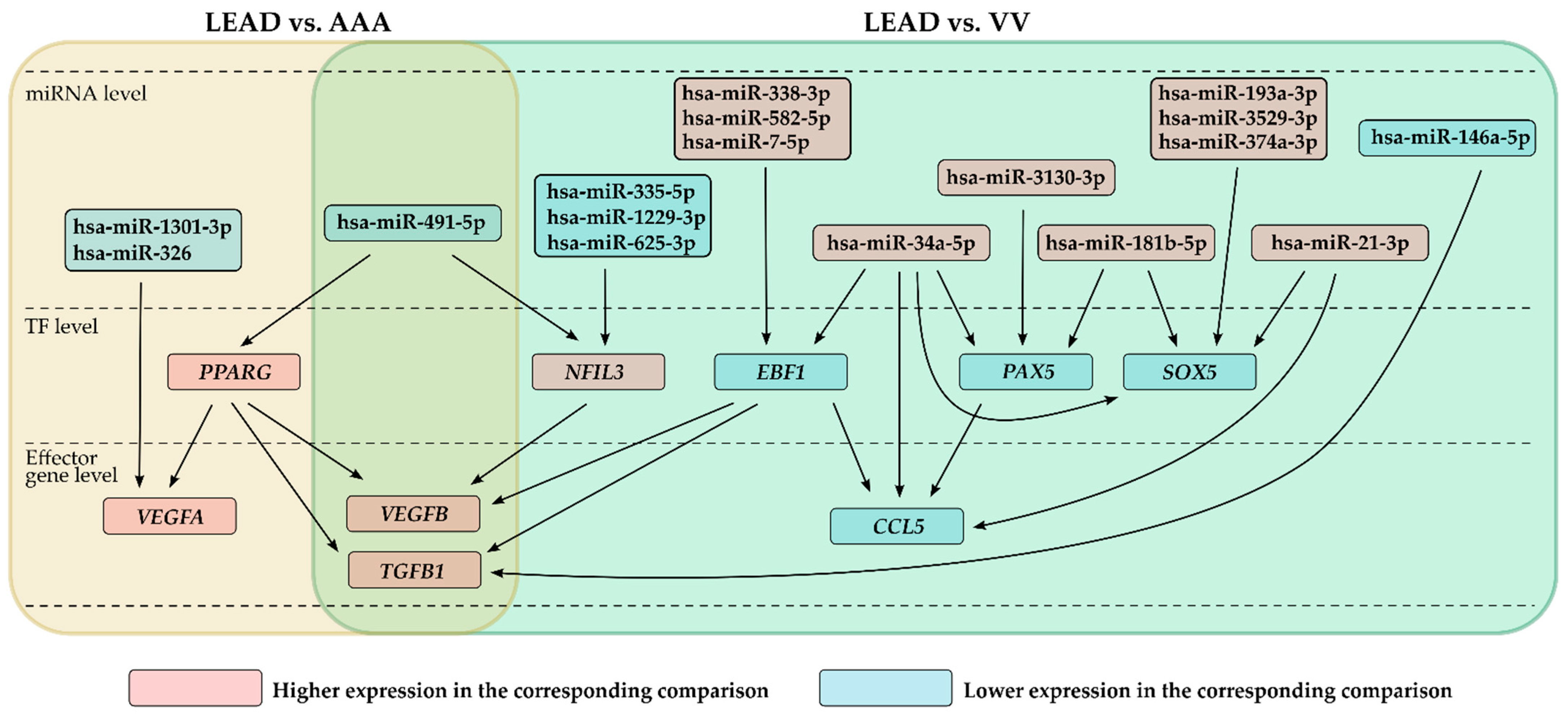 Ijms 26 08786 g006 Ijms 26 08786 g006