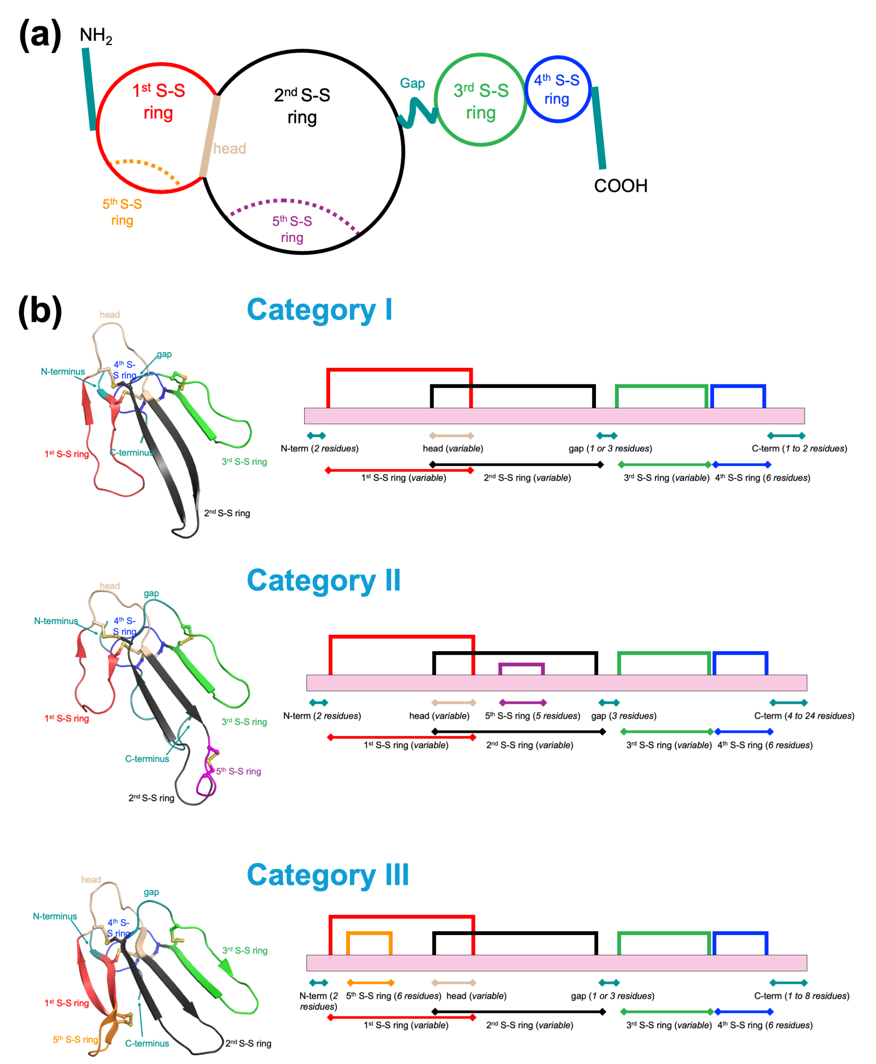 Ijms 26 08792 g005 Ijms 26 08792 g005