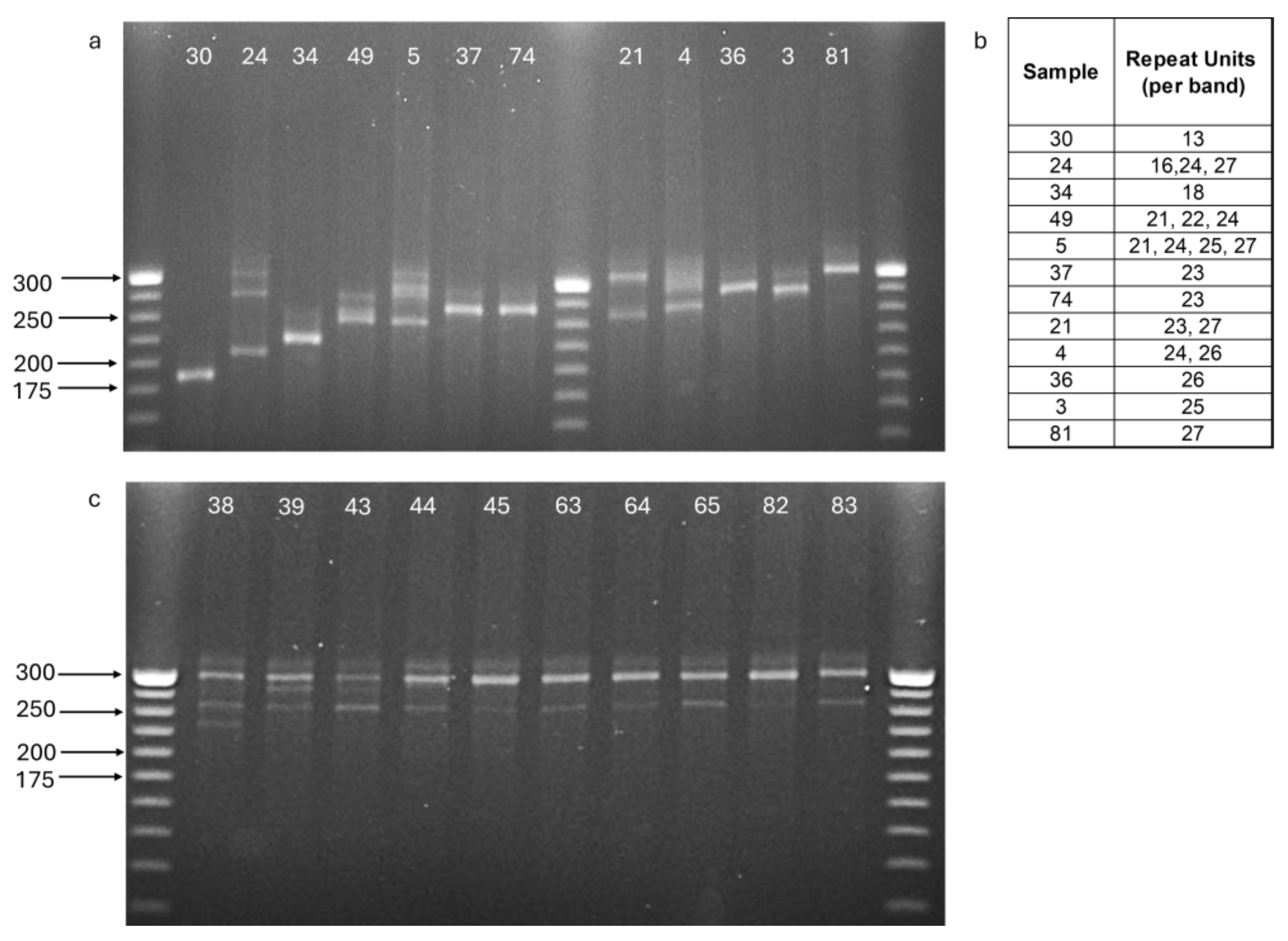 Ijms 26 08822 g001 Ijms 26 08822 g001