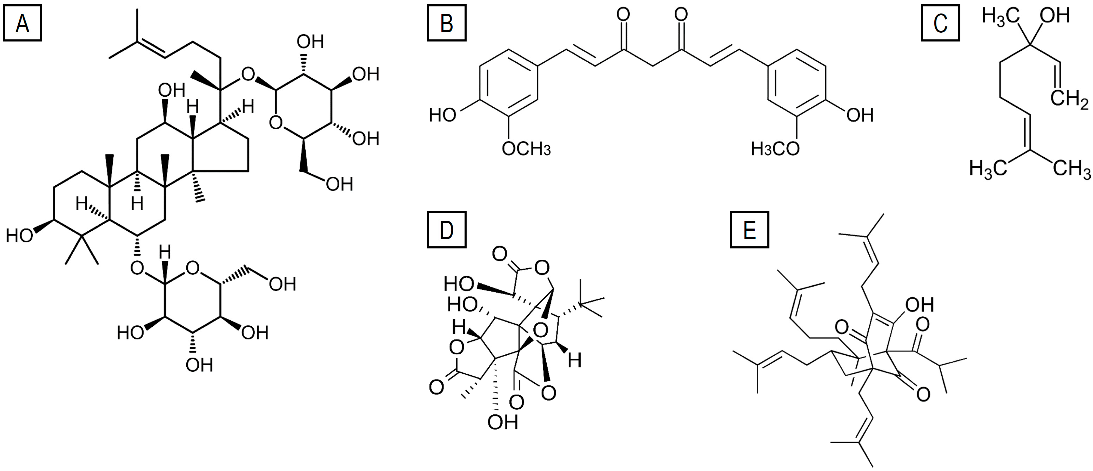 Ijms 26 08849 g001 Ijms 26 08849 g001