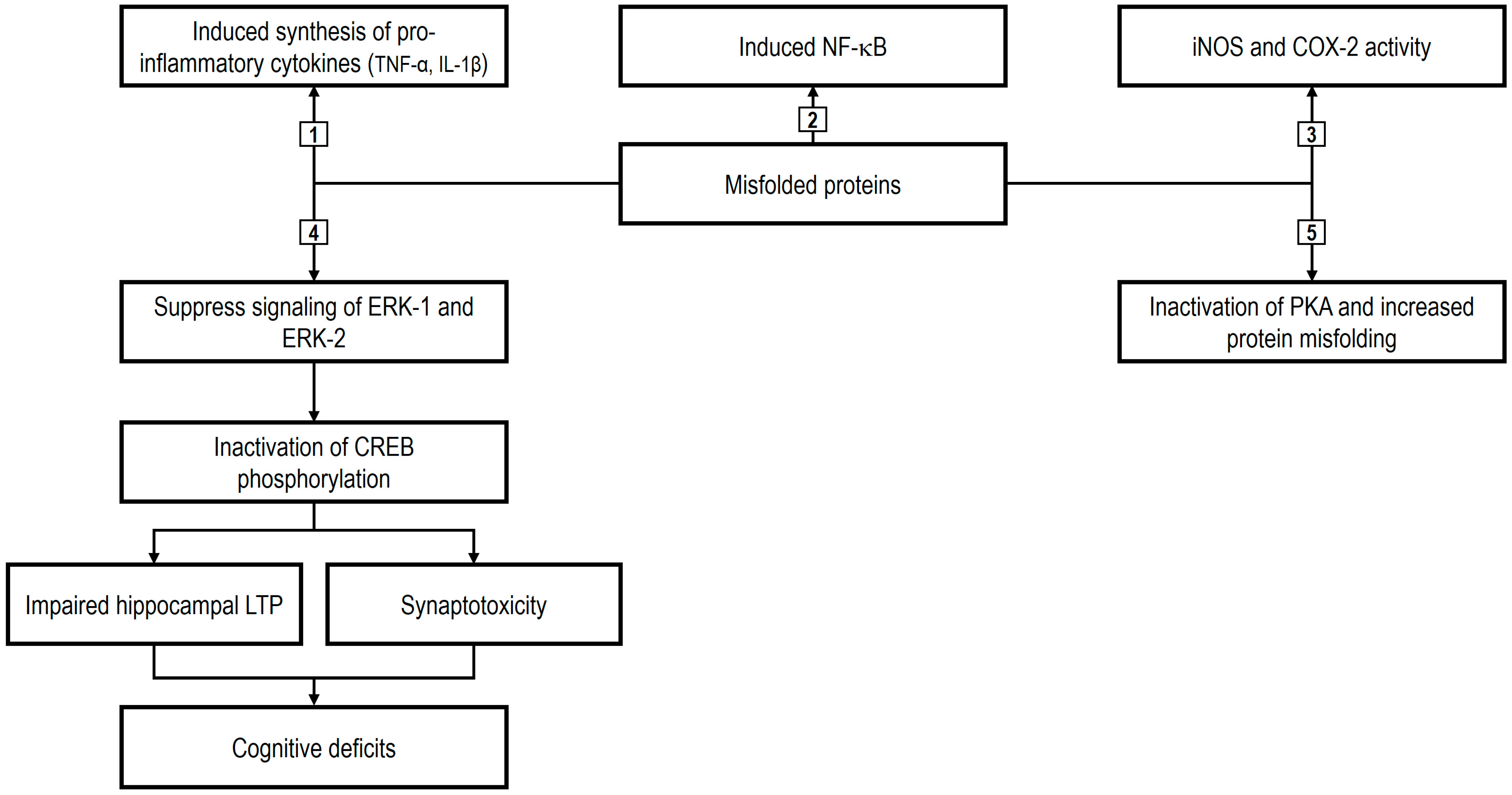 Ijms 26 08849 g002 Ijms 26 08849 g002