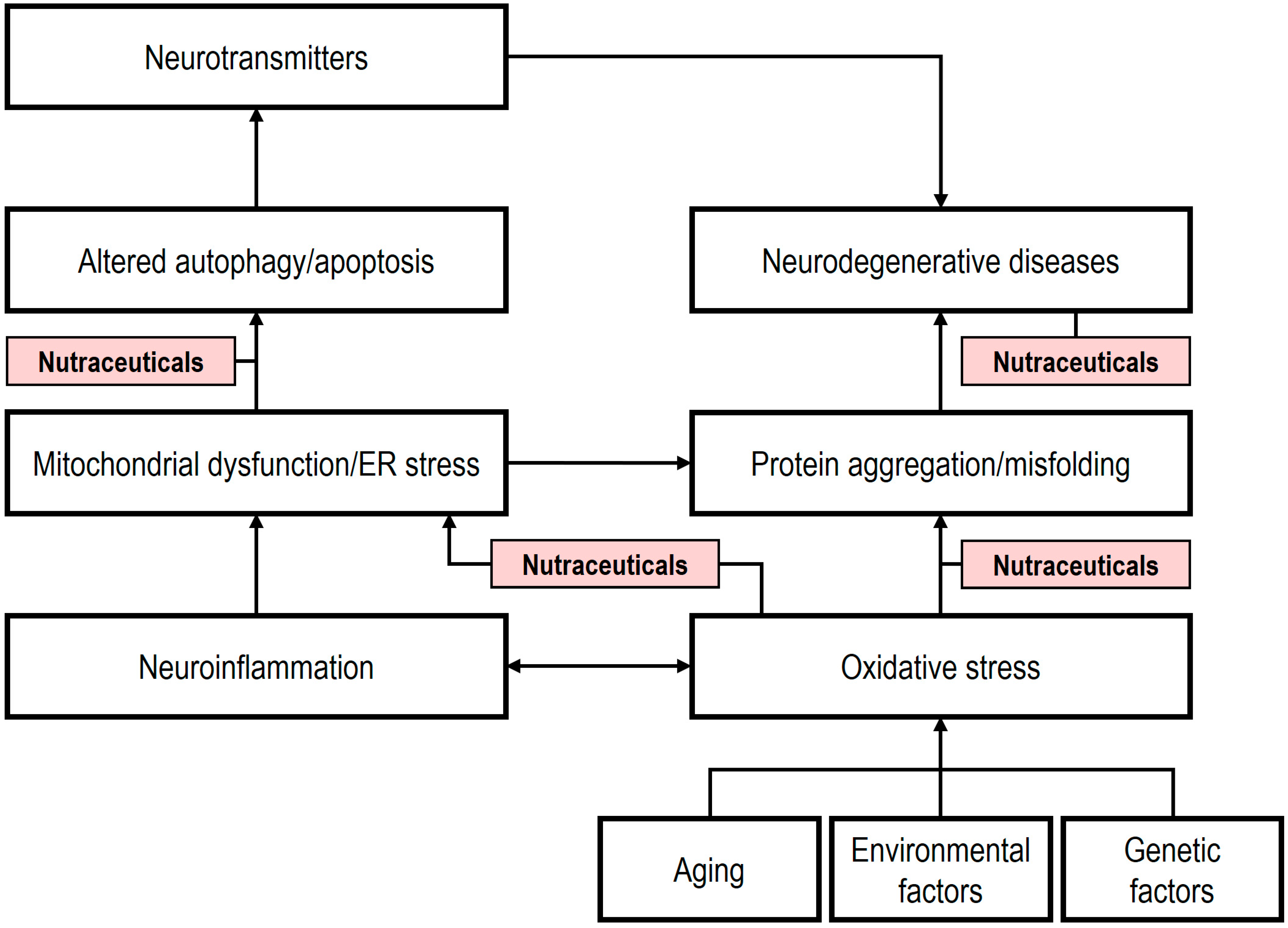 Ijms 26 08849 g003 Ijms 26 08849 g003