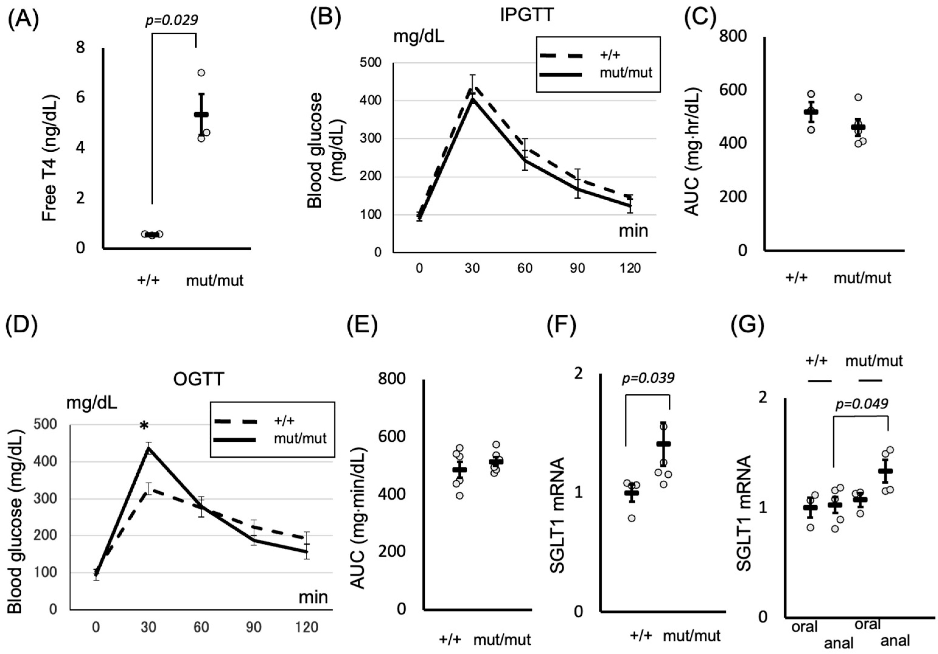 Ijms 26 08854 g003 Ijms 26 08854 g003
