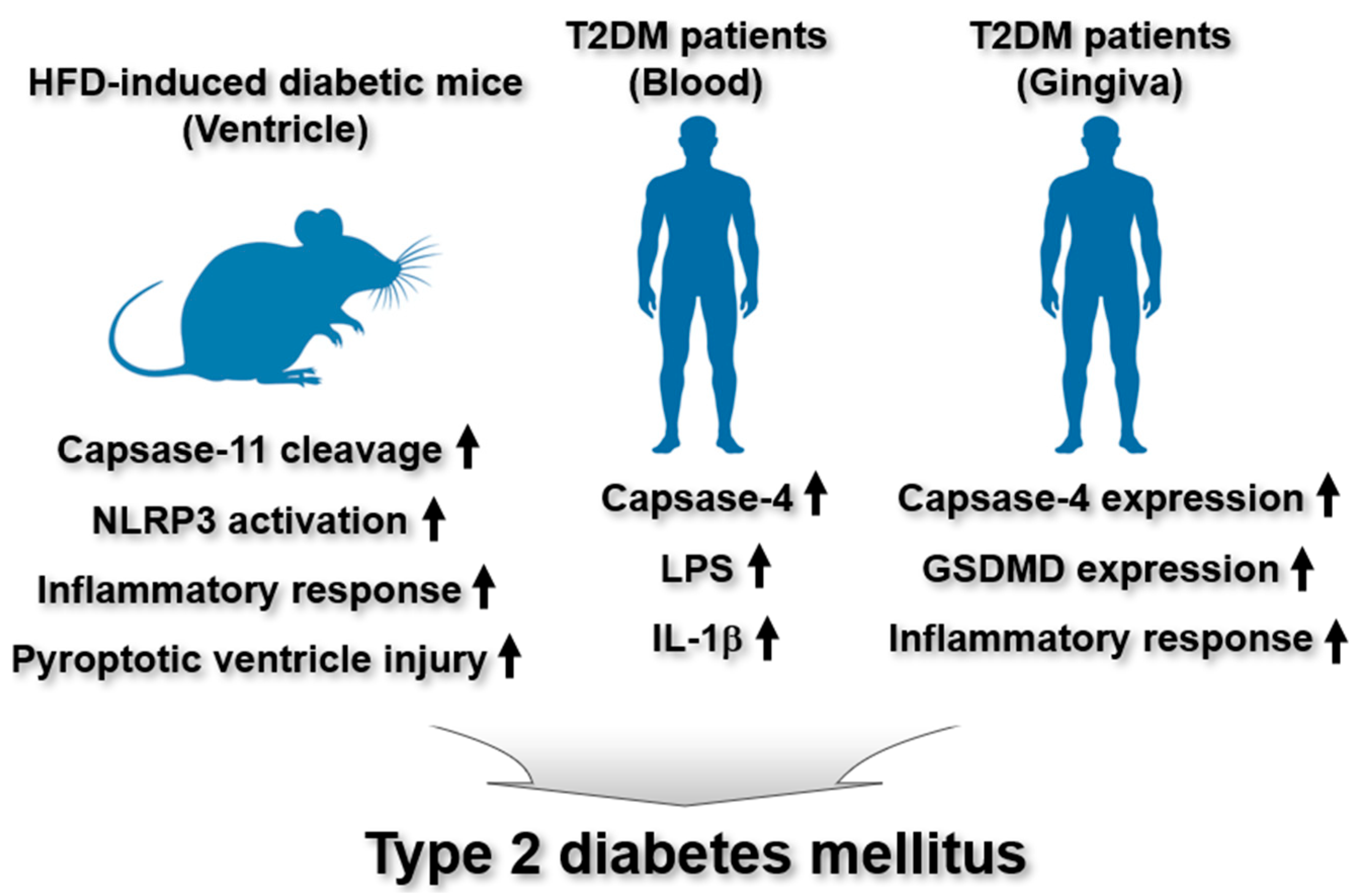 Ijms 26 08893 g003 Ijms 26 08893 g003