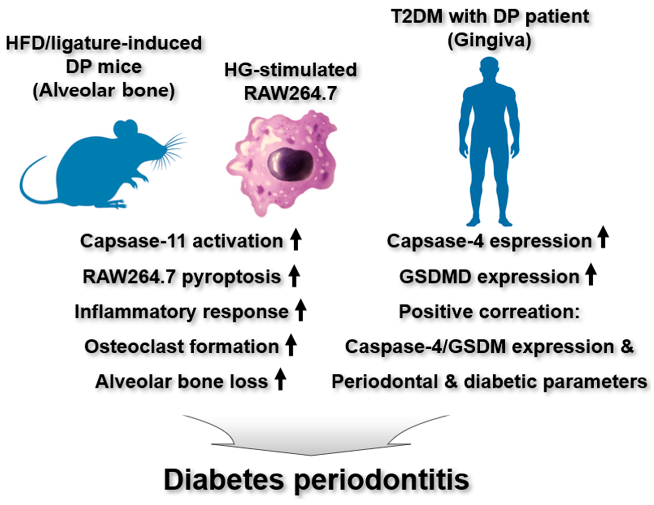 Ijms 26 08893 g005 Ijms 26 08893 g005
