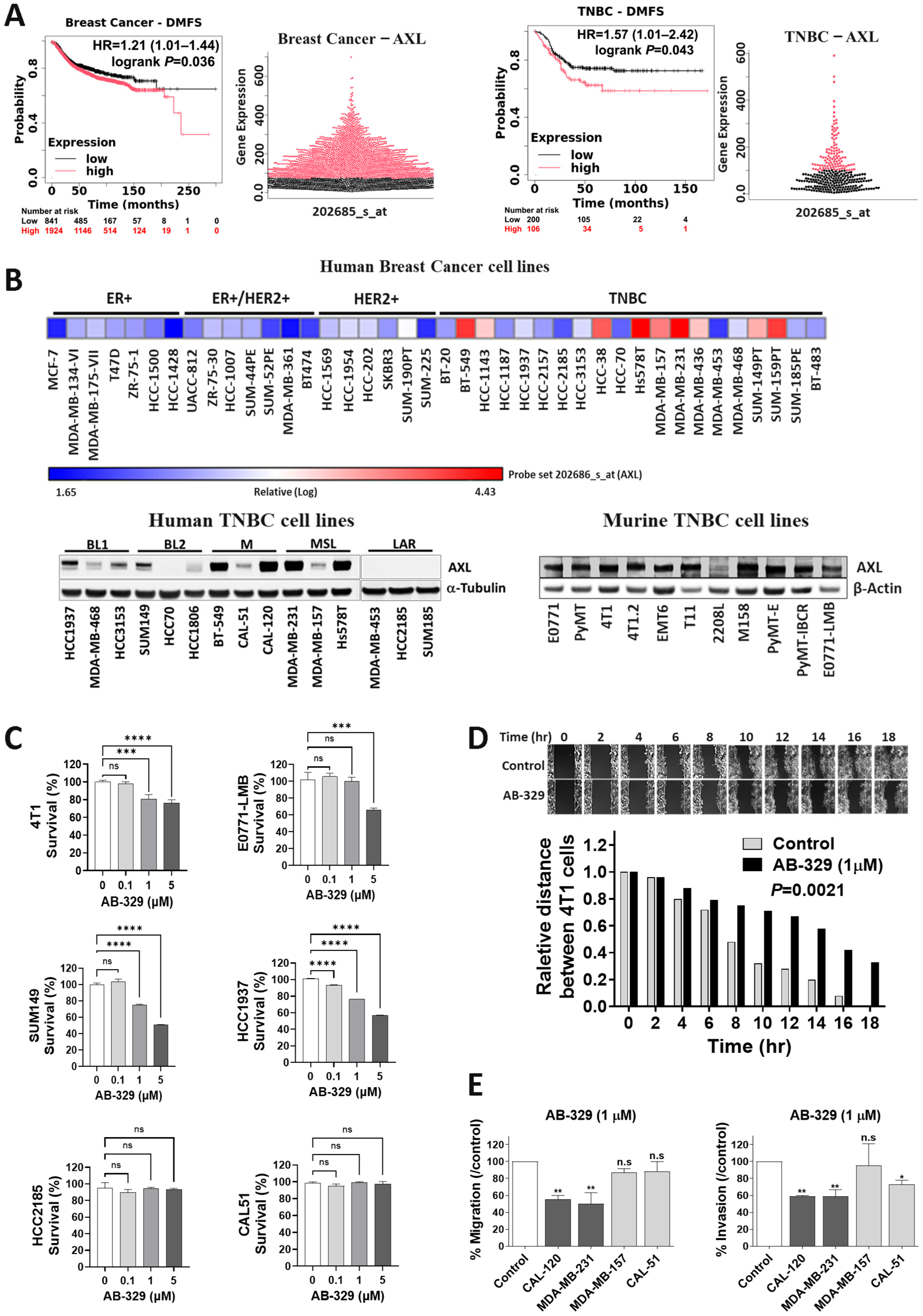 Ijms 26 08896 g001 Ijms 26 08896 g001