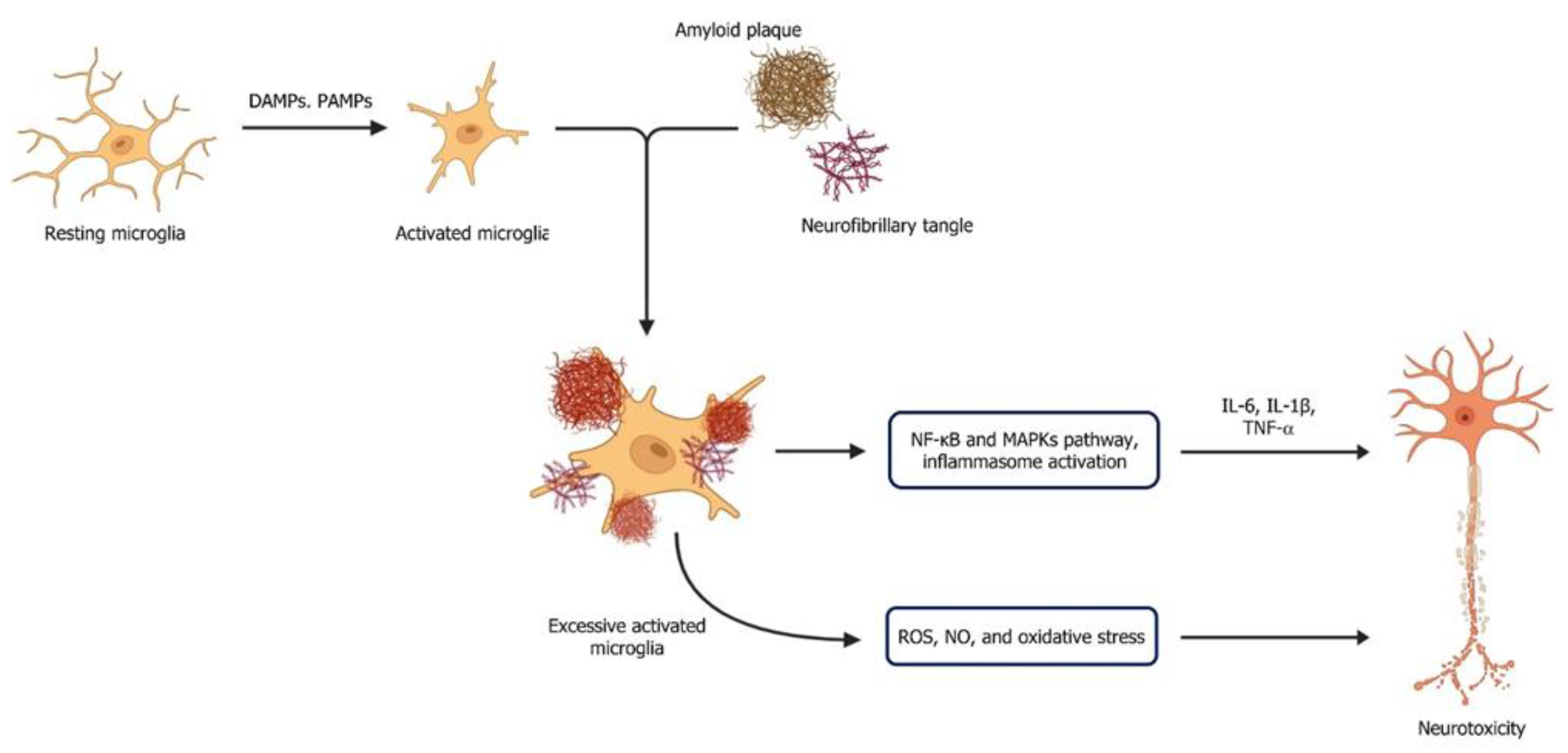 Ijms 26 08905 g001 Ijms 26 08905 g001