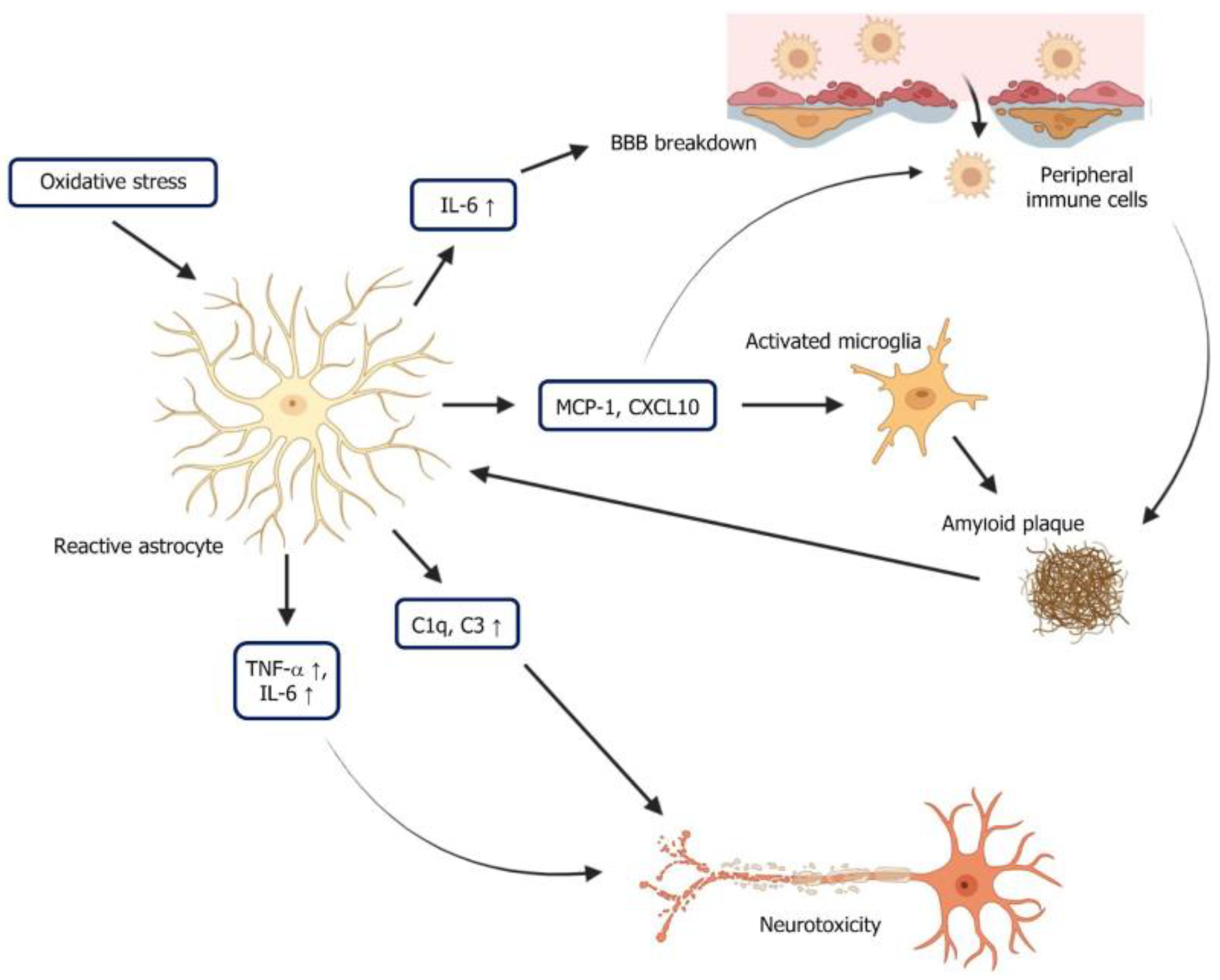 Ijms 26 08905 g002 Ijms 26 08905 g002