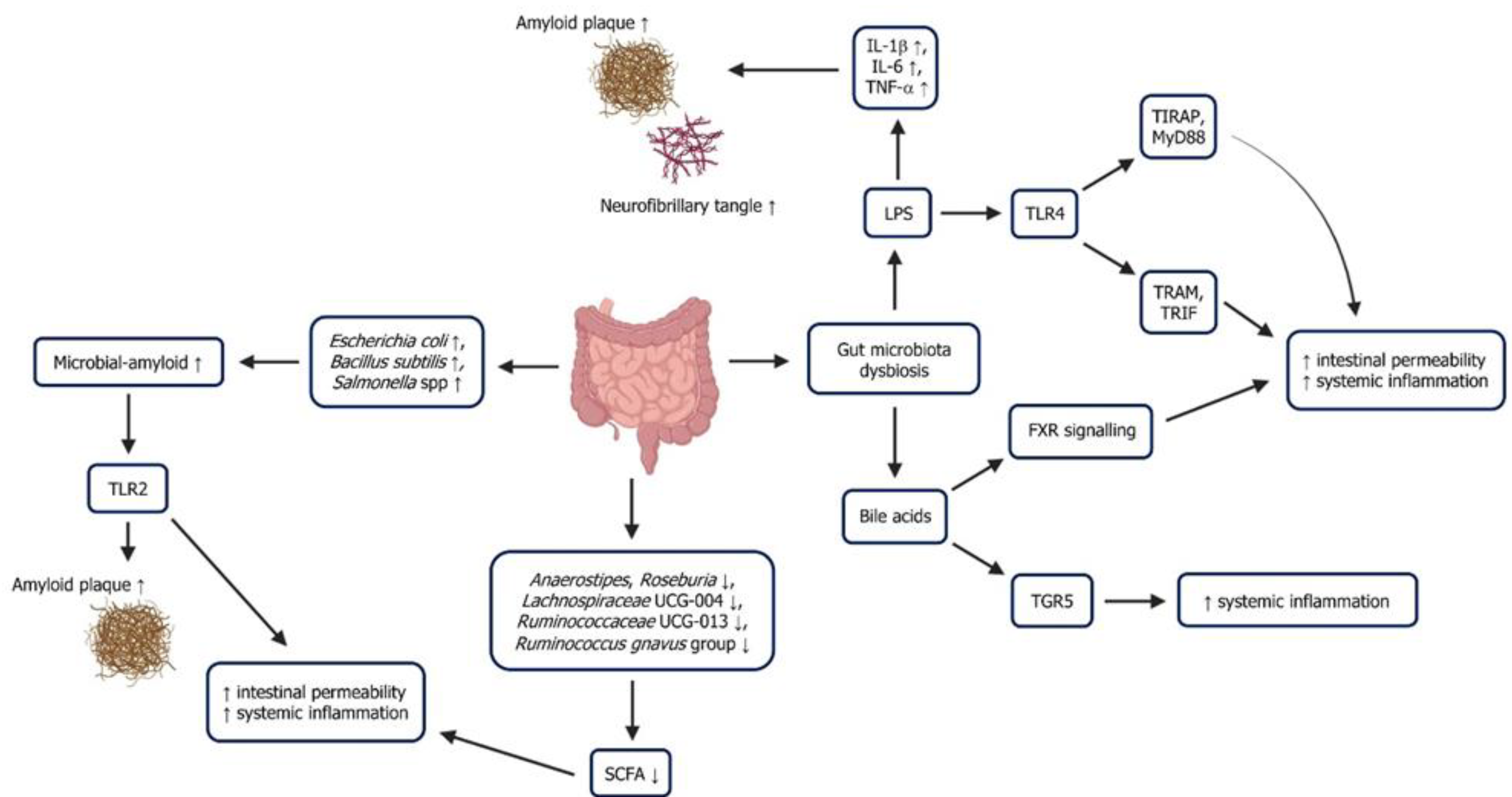 Ijms 26 08905 g003 Ijms 26 08905 g003