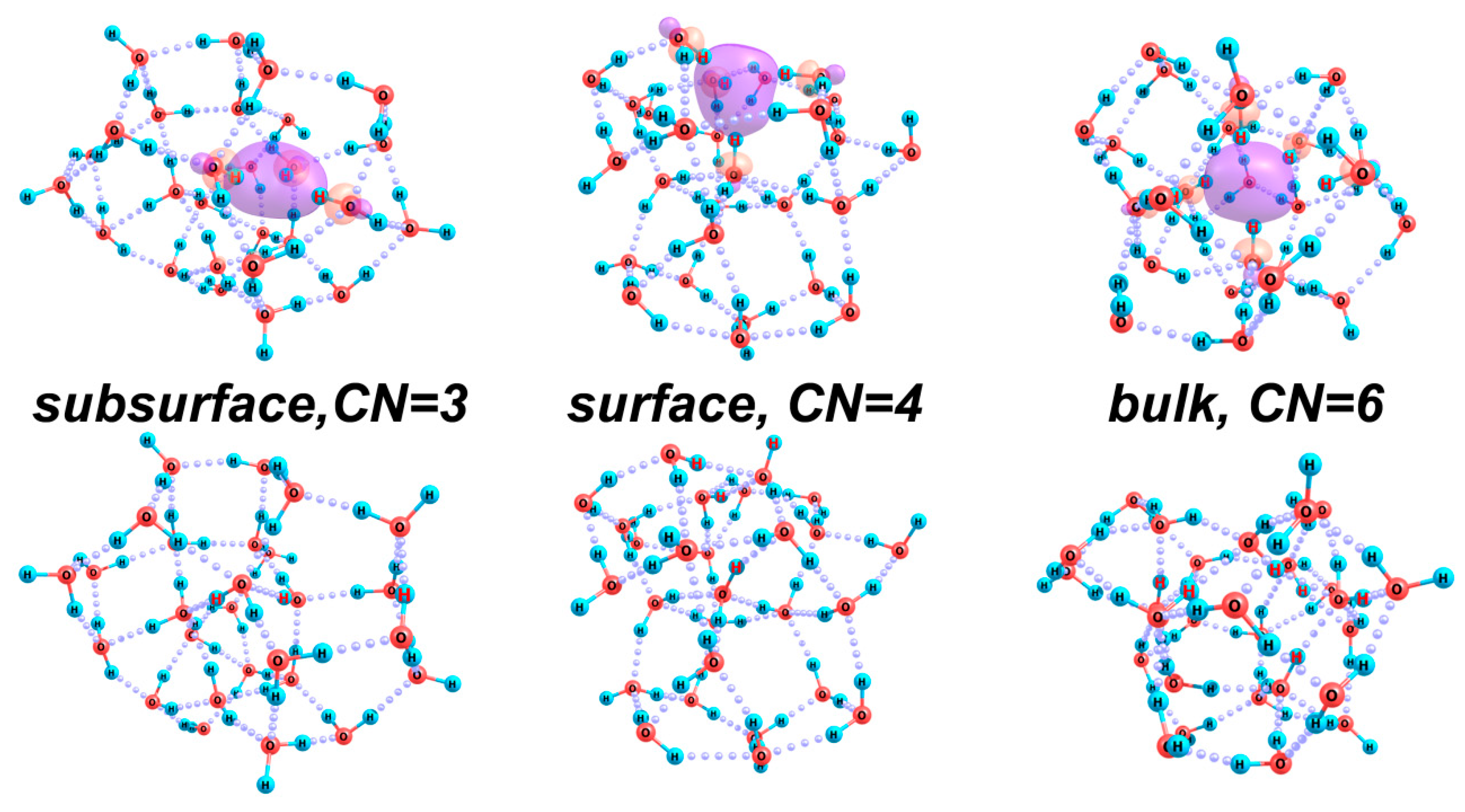 Ijms 26 08909 g007 Ijms 26 08909 g007