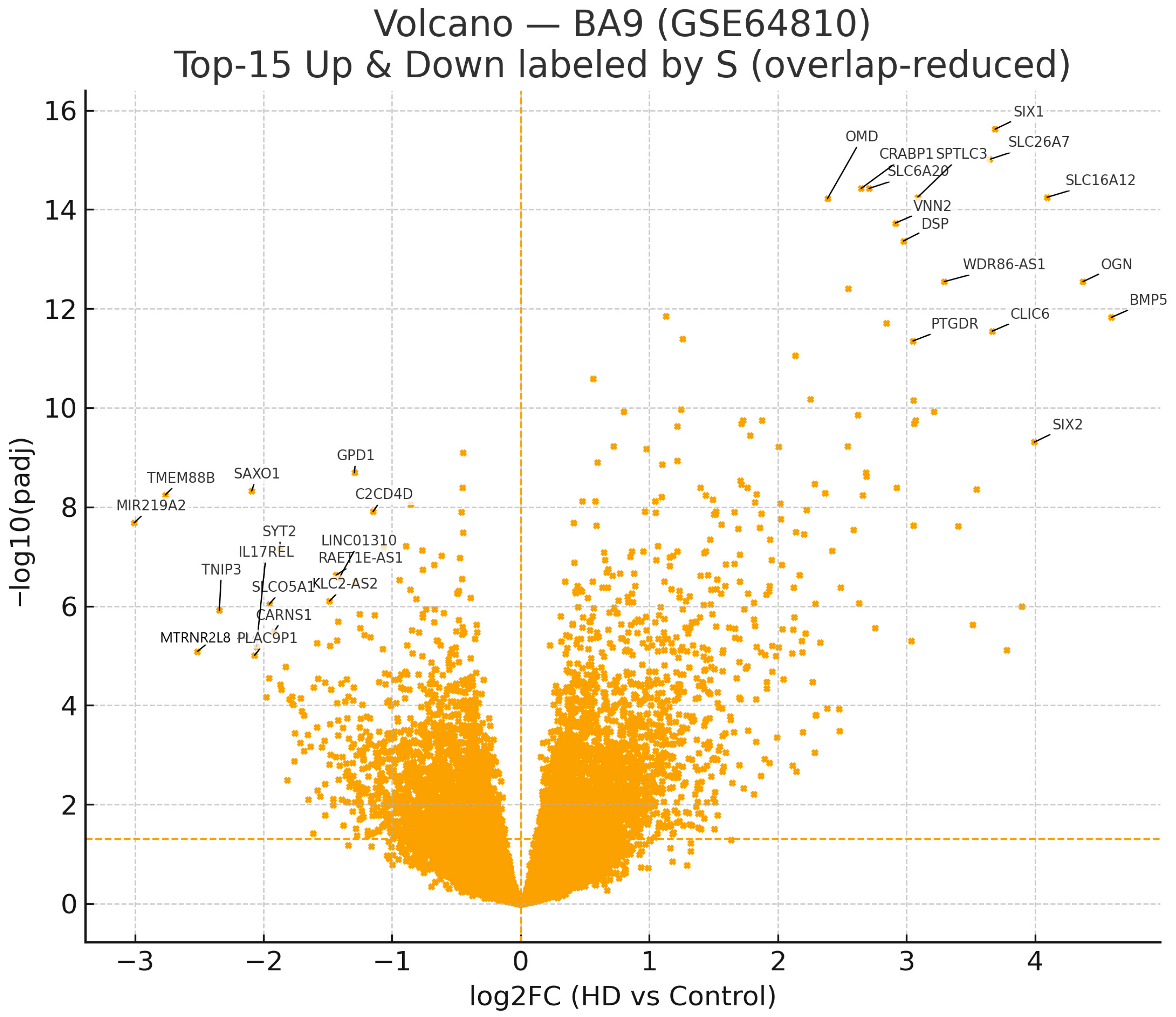 Ijms 26 08934 g001 Ijms 26 08934 g001