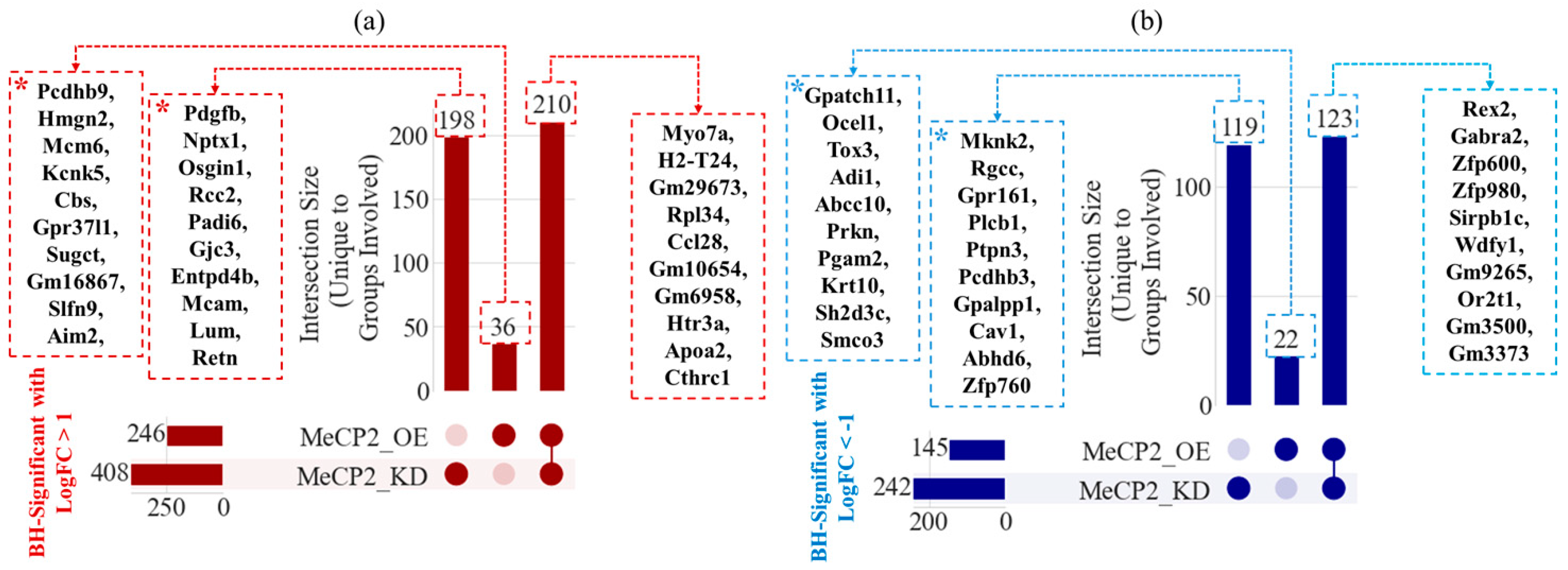Ijms 26 09032 g003 Ijms 26 09032 g003